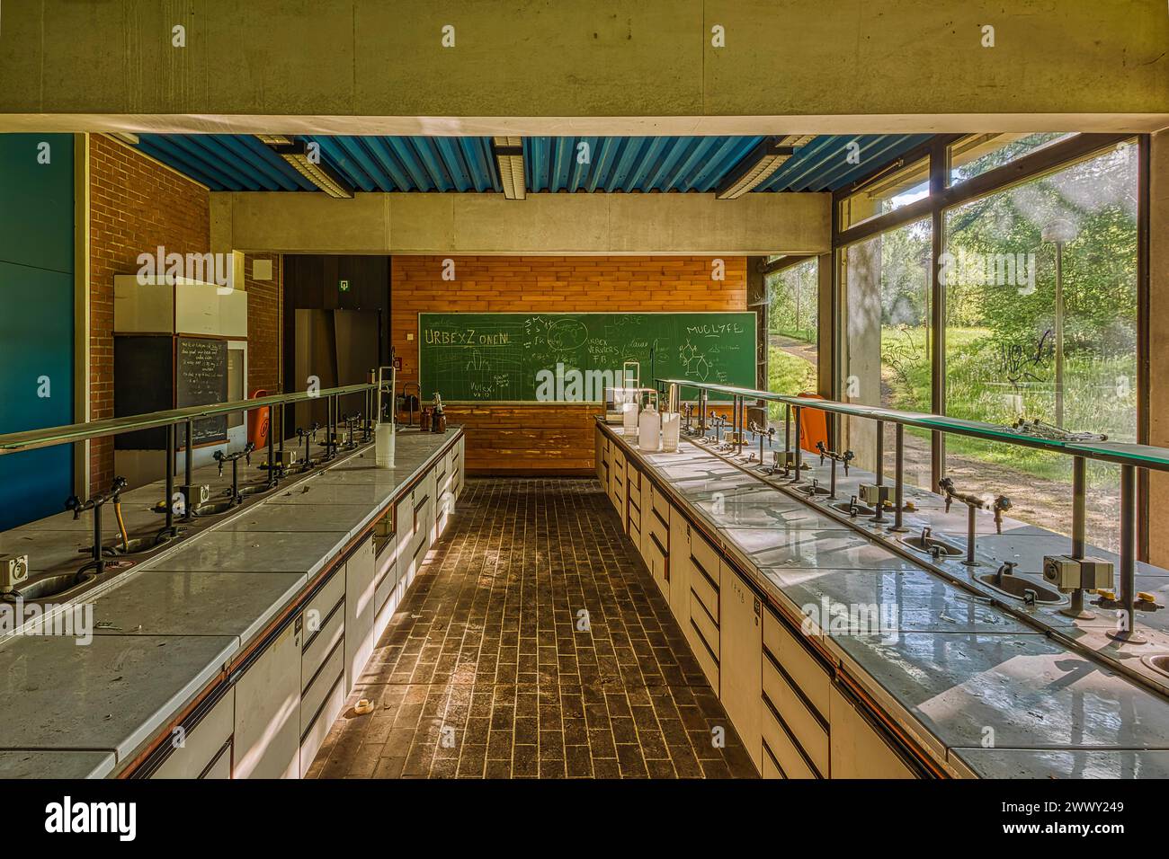 Leerer Klassenzimmer mit Blick auf grüne Bäume durch Fenster, Tafel und Labortische, Institut für Molekularbiologie, verlorener Platz Stockfoto