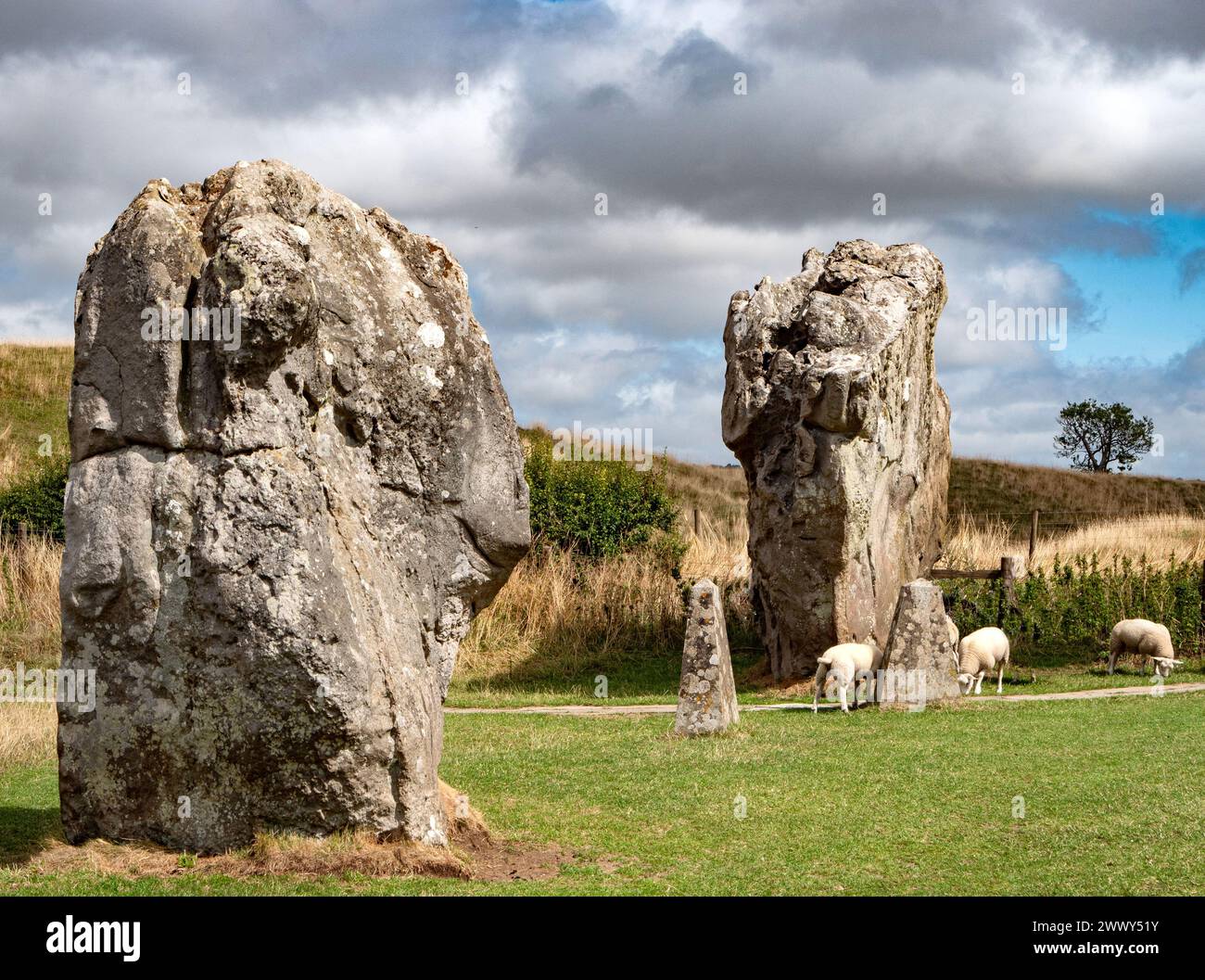 Massive Sarsensteine im äußeren Ring des Avebury Steinkreises und der Henge in Wiltshire, Großbritannien Stockfoto