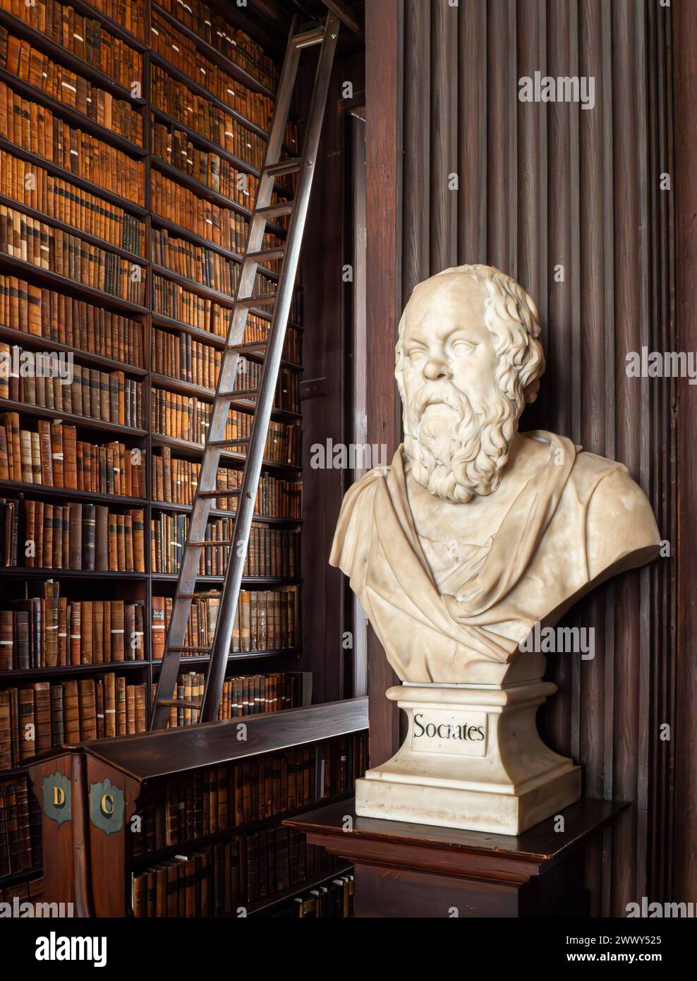 Marmorbüste des Athenischen Philiosophen Socrates im prächtigen, mit Eiche getäfelten Inneren der Trinity College Library in Dublin Irland Stockfoto