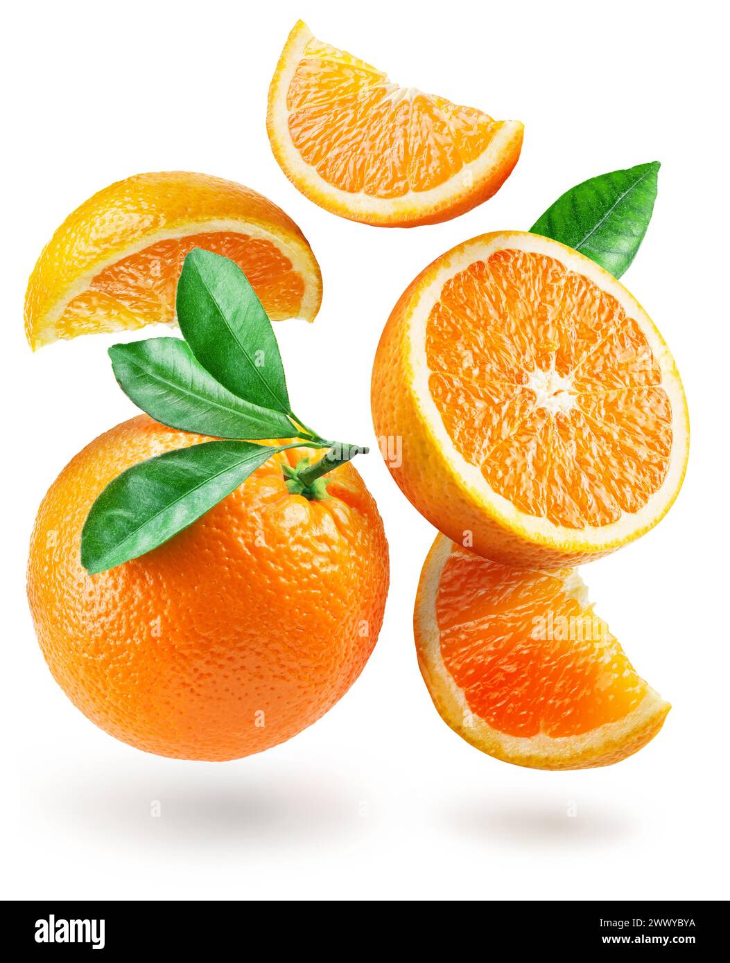 Reife Orangenfrüchte und Orangenscheiben, die in der Luft schweben, auf weißem Hintergrund. Datei enthält Beschneidungspfad. Stockfoto