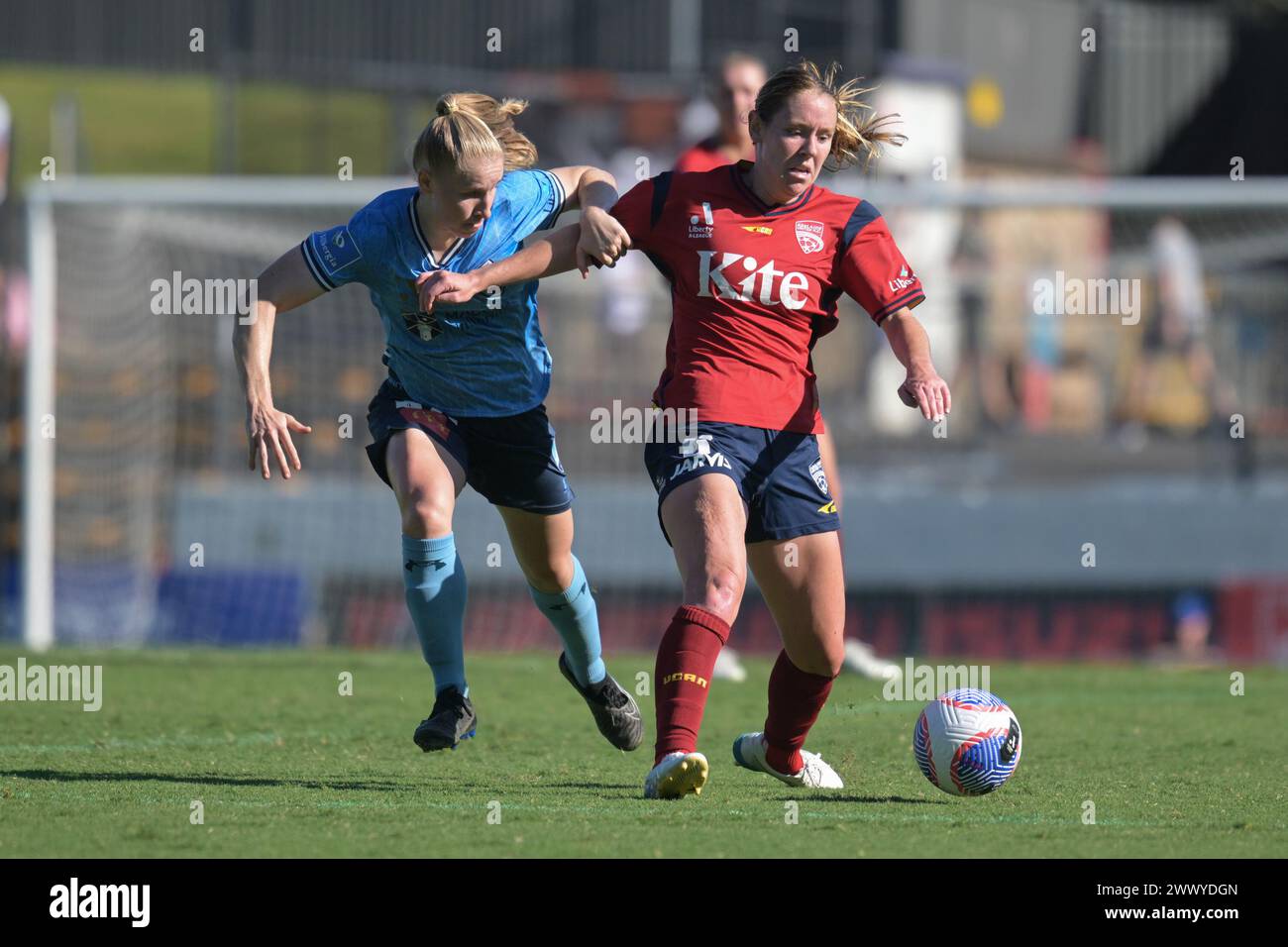 Lilyfield, Australien. März 2024. Taylor Jade Ray (L) von Sydney FC und Hannah Elizabeth Blake (R) von Adelaide United werden während des Spiels der Liberty A-League 2023-24 in der Runde 21 zwischen Sydney FC und Adelaide United im Leichhardt Oval in Aktion gesehen. Endstand: Sydney FC 3:0 Adelaide United. (Foto: Luis Veniegra/SOPA Images/SIPA USA) Credit: SIPA USA/Alamy Live News Stockfoto