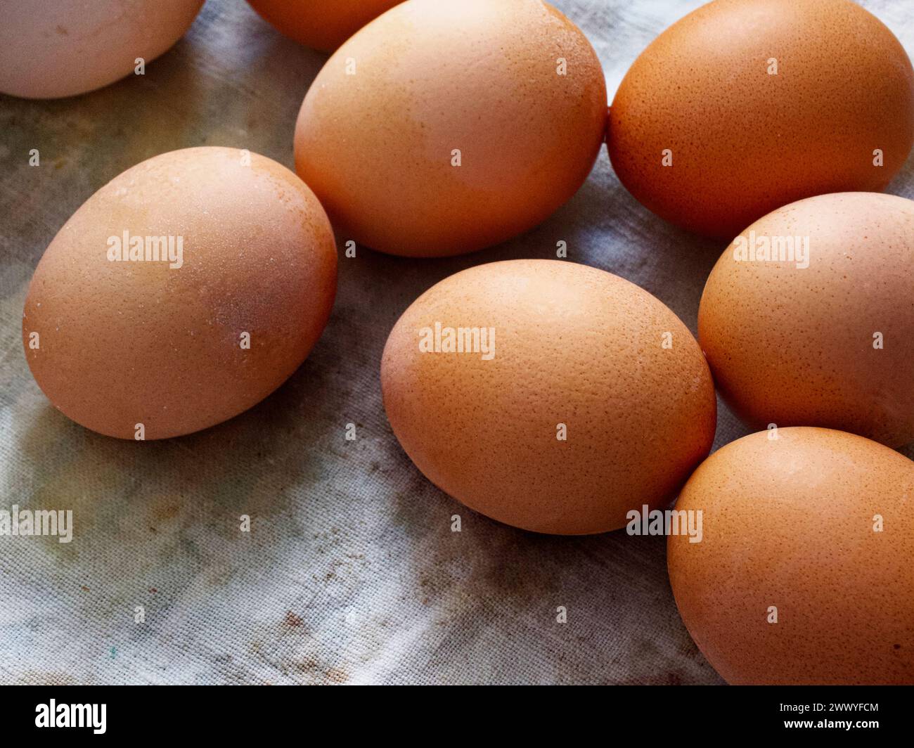 Das Bild zeigt acht braune Eier, die auf einer strukturierten Stoffoberfläche verstreut sind, wodurch eine natürliche und einfache Ästhetik entsteht. Stockfoto