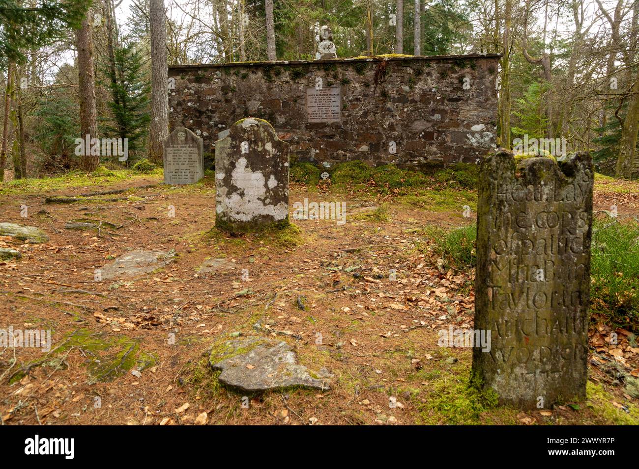 Das Clan MacNab Begräbnis befindet sich auf der Insel Innis Bhuidhe im Dorf Killin in Perthshire. Stockfoto
