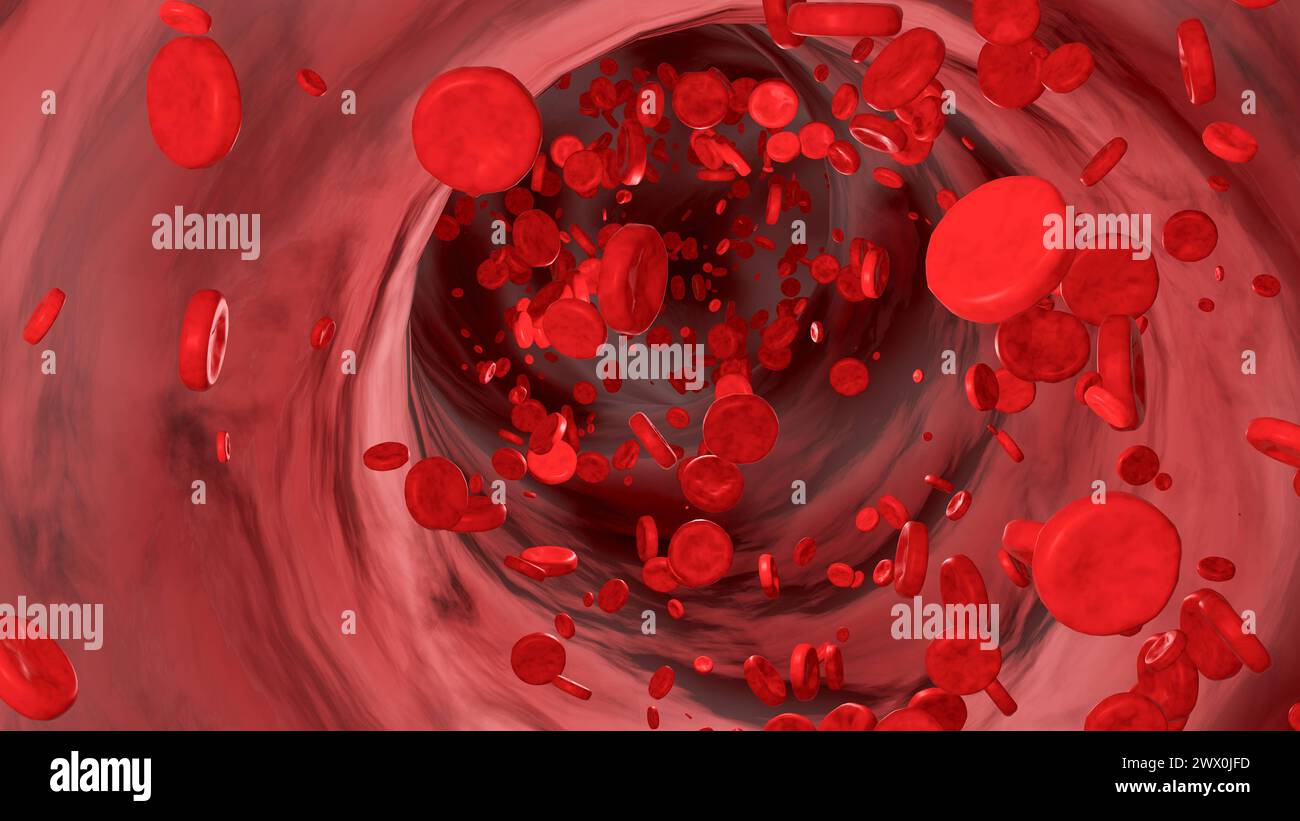 Blutzellen, die durch die Vene fließen. Blutzellen, die durch die Vene fließen. Hämoglobin, Blutkörperchen, Blutkreislauf, Arterien, Blutplasma. 3D-Abbildung Stockfoto