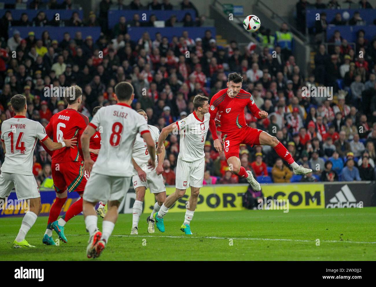 Cardiff City Stadium, Cardiff, Großbritannien. März 2024. UEFA Euro Qualifying Play Off Football, Wales gegen Polen; Kieffer Moore aus Wales und Pawel Dawidowicz aus Polen fordern den Ball an Credit: Action Plus Sports/Alamy Live News Stockfoto