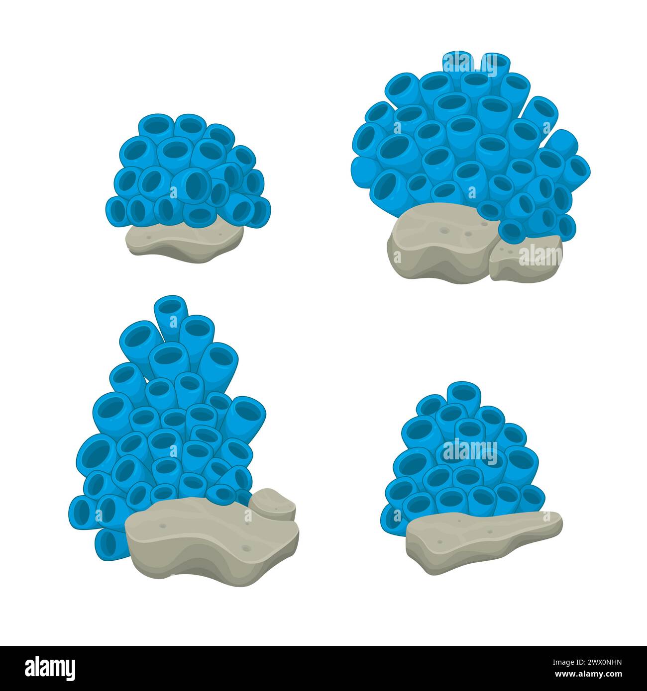Blaumeeranemonen wachsen auf Einem Felsen, Vektor-Illustration Stock Vektor