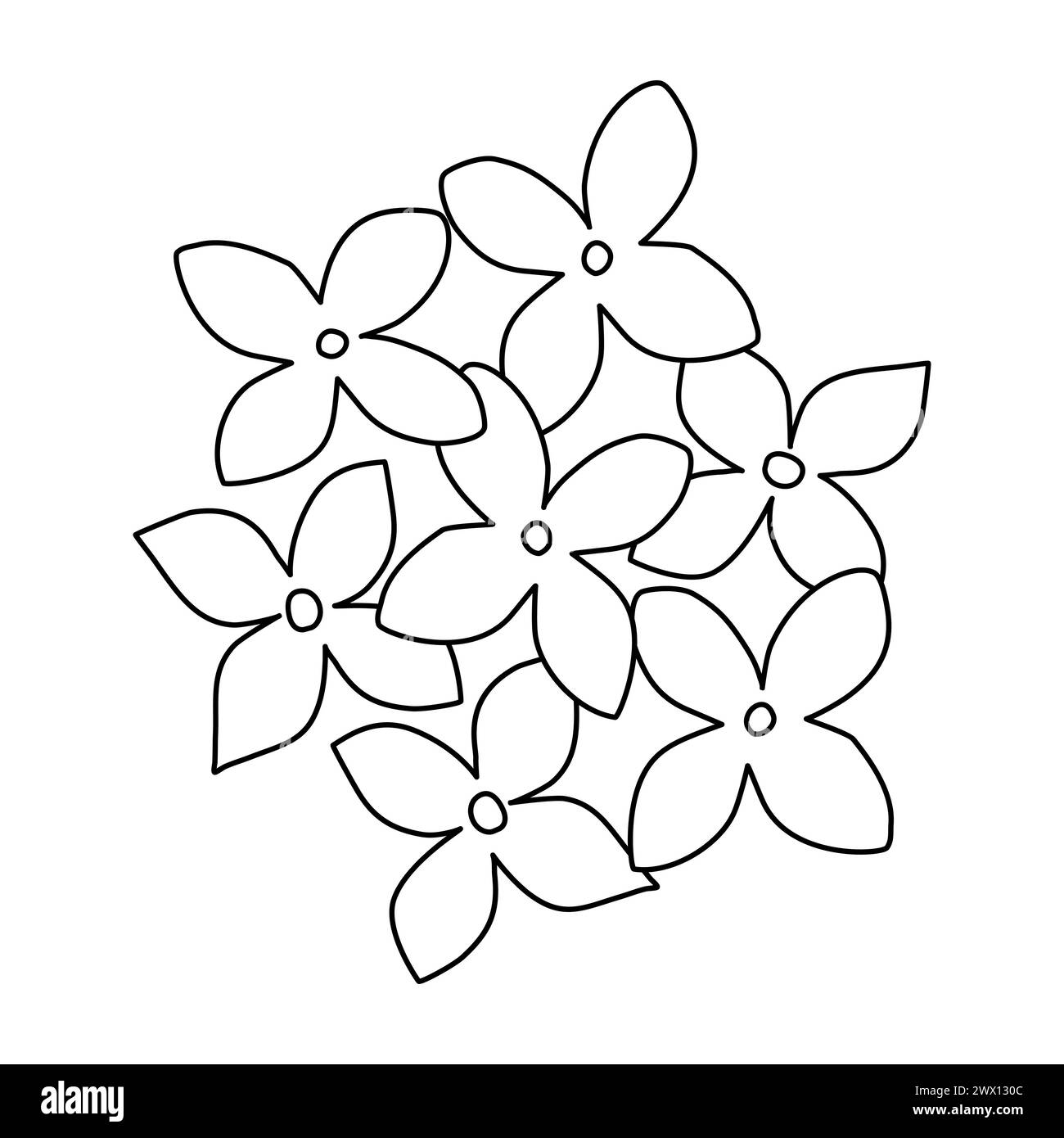 Flieder- oder Hortensie Blumen von oben, Doodle-Stil flache Vektor-Umrissillustration für Kinder Malbuch Stock Vektor