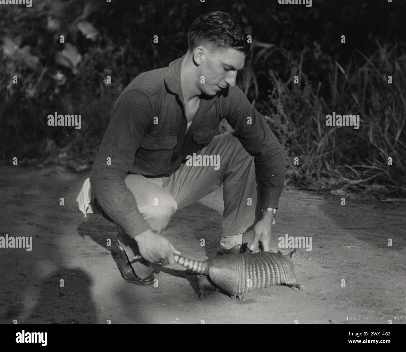 Panamakanal Departement. Abteilungsmanöver. 'Panzerpanzer Aus Tropischem Stahl'. Soldat auf dem Feld mit einem Gürteltier, das das Haustier des Outfits war. (Beachten Sie die panzerartige Haut des Gürtelarztes) ca. 1934 Stockfoto