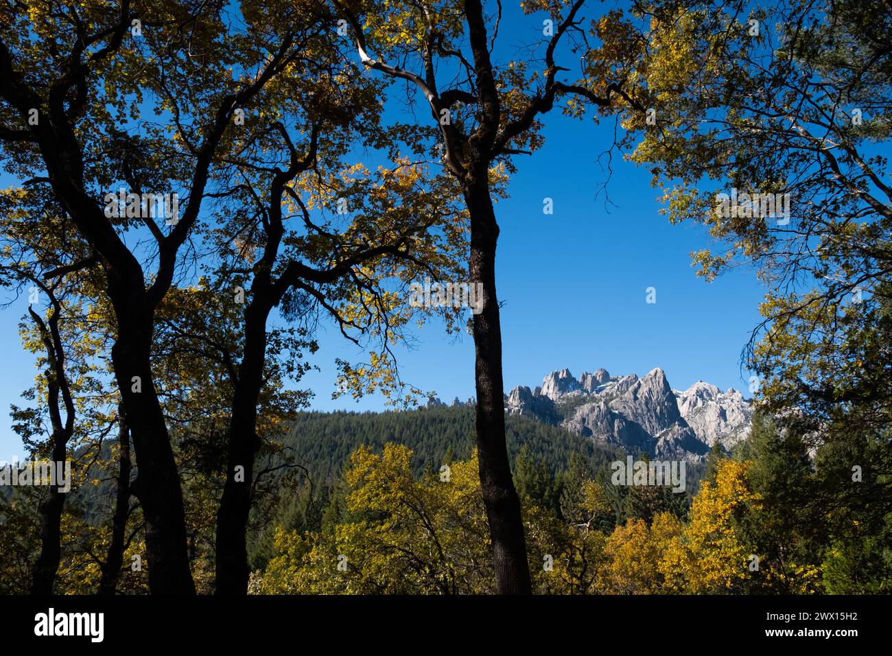 Blick auf Castle Crags vom Castle Crags State Park im Norden Kaliforniens in der Nähe des Mt. Shasta. Stockfoto
