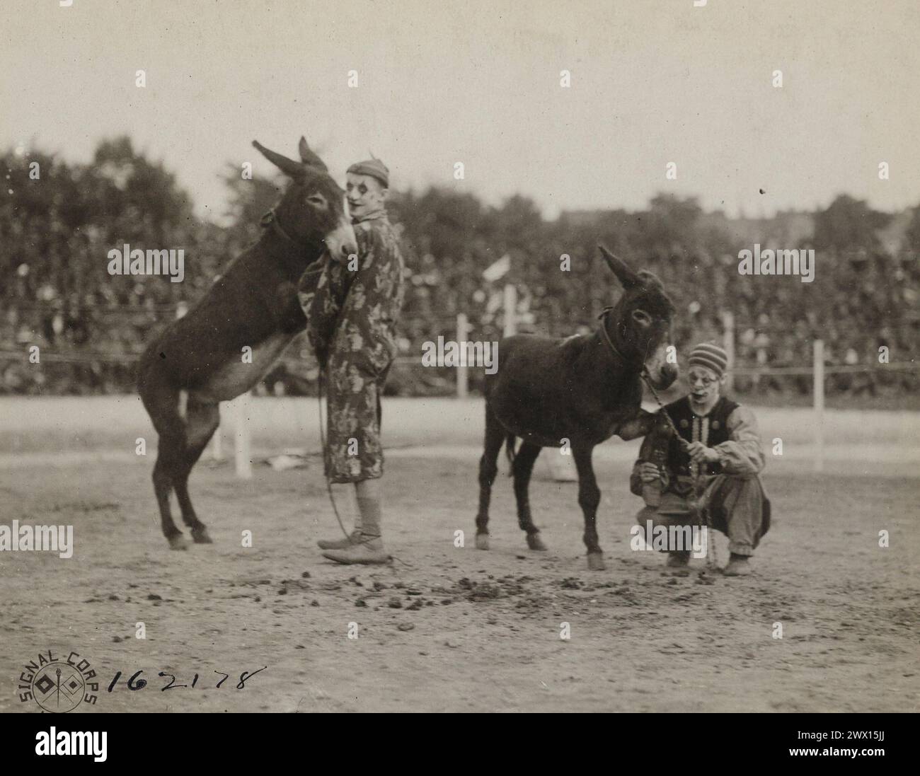 Zwei Clowns und zwei Maultiere beim First U.S. Division Circus; Köln, Deutschland ca. August 1919 Stockfoto