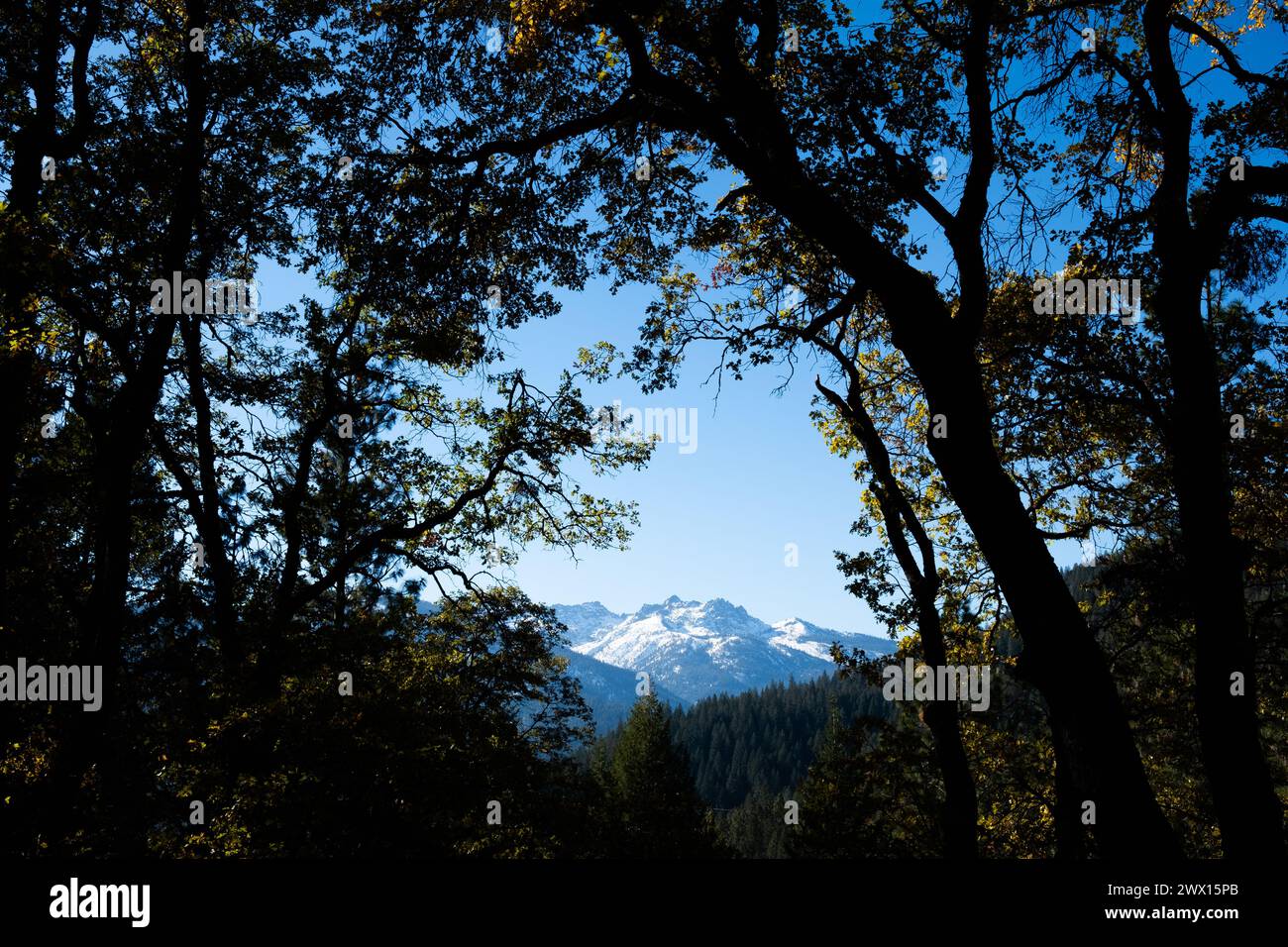 Blick auf Castle Crags vom Castle Crags State Park im Norden Kaliforniens in der Nähe des Mt. Shasta. Stockfoto