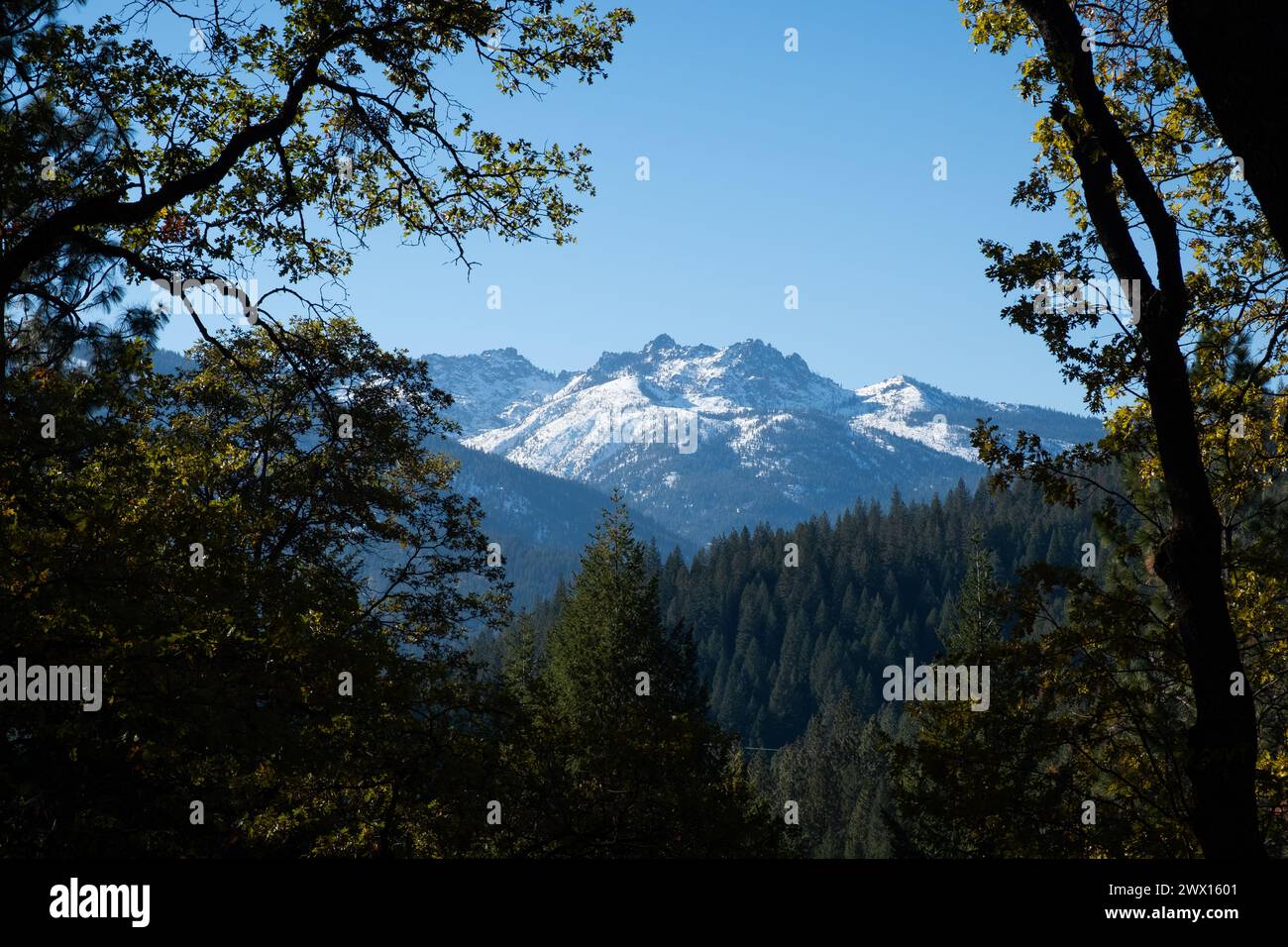 Blick auf Castle Crags vom Castle Crags State Park im Norden Kaliforniens in der Nähe des Mt. Shasta. Stockfoto