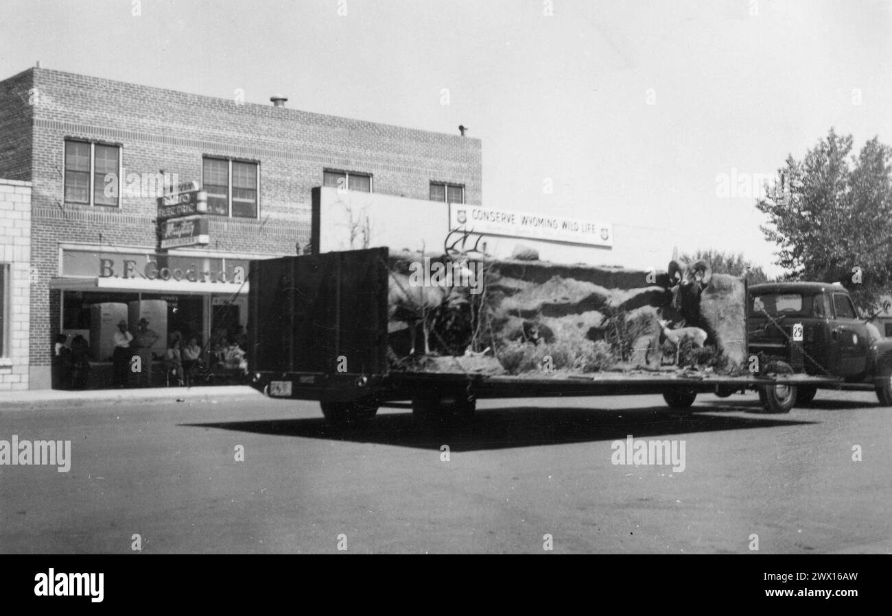 Truck mit Wildlife Diorama während einer Parade in einer kleinen Stadt Wyoming, ein B.F. Goodrich Geschäft im Hintergrund ca. 1938 Stockfoto