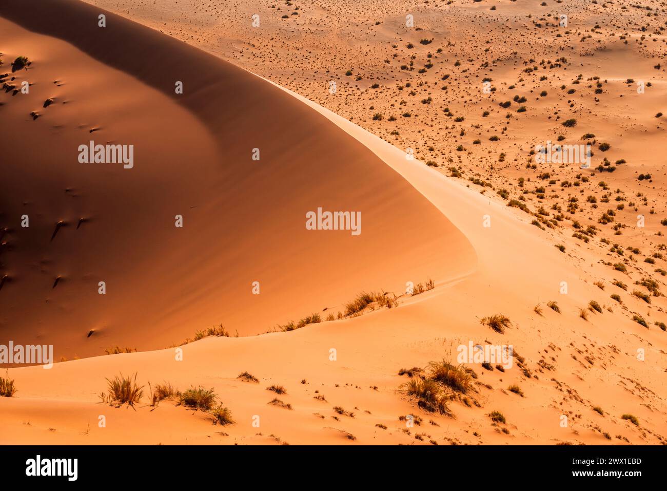 Gebogener Kamm der roten Sanddüne aus dem Sossusvlei-Tal in Namibia Stockfoto