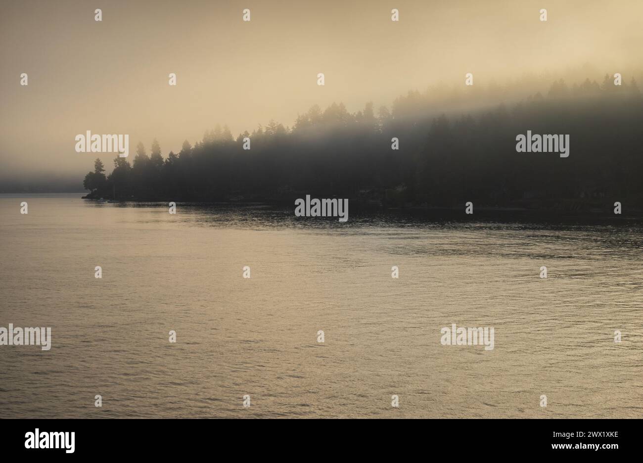 Morgendunst liegt über einem dunklen bewaldeten Punkt, der in ruhiges, sanft gerippeltes Wasser mit gedämpften goldenen Tönen in Washington ragt. Stockfoto
