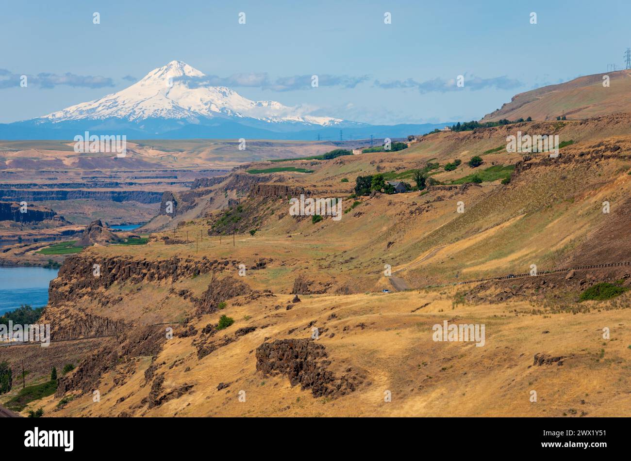 Ströme in den Ausläufern des Mount Rainer im US-Bundesstaat Washington Stockfoto