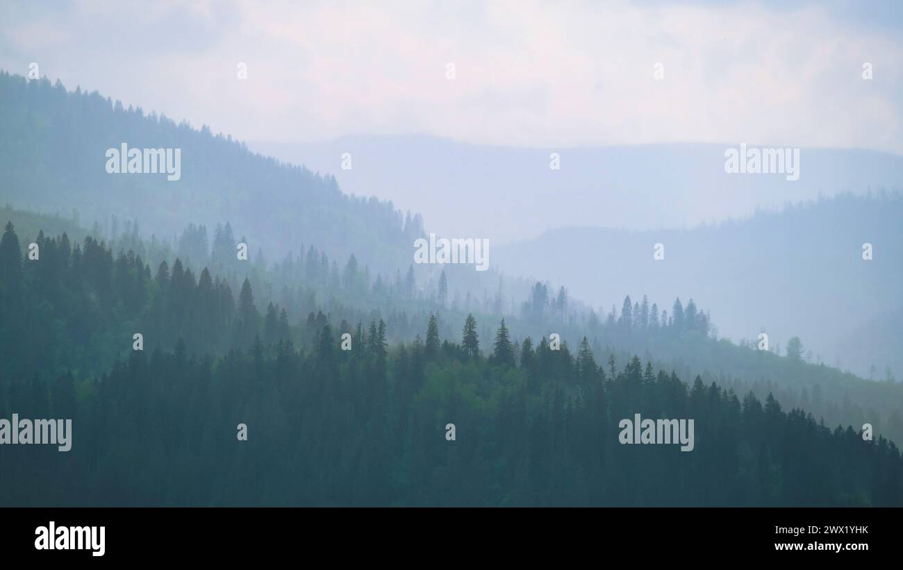 Berge unter Nebel am Morgen erstaunliche Naturlandschaft. Tourismus- und Reisekonzept Bild, frisches und entspanntes Naturbild Stockfoto