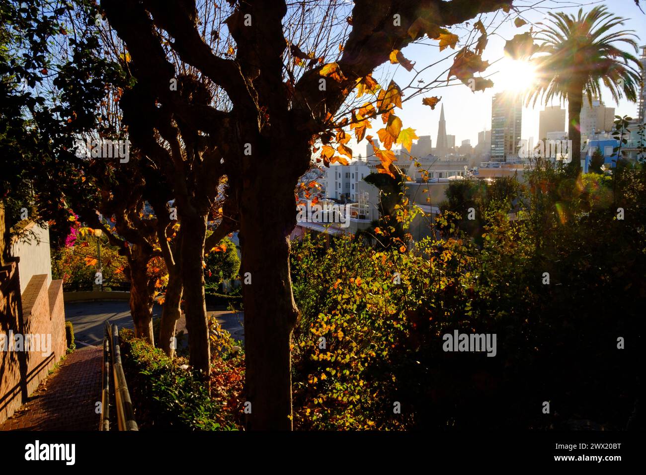 Blick von Lombard Street, San Francisco, Kalifornien, USA. Stockfoto