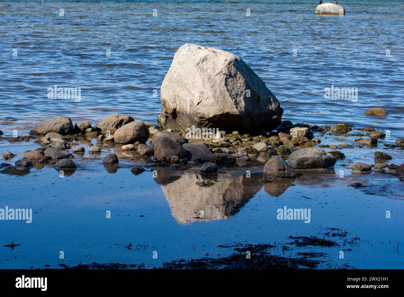 Große Felsen mit Steinen liegen im Wasser an der Ostseeküste, mit Reflexion Stockfoto