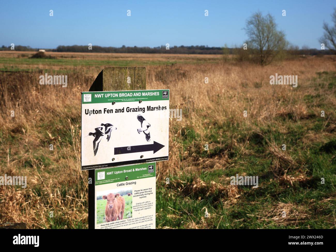 Ein Schild des Norfolk Wildlife Trust, das die Richtung nach Upton Fen und Grasland am Boat Dyke in Upton, Norfolk, England, Großbritannien angibt. Stockfoto