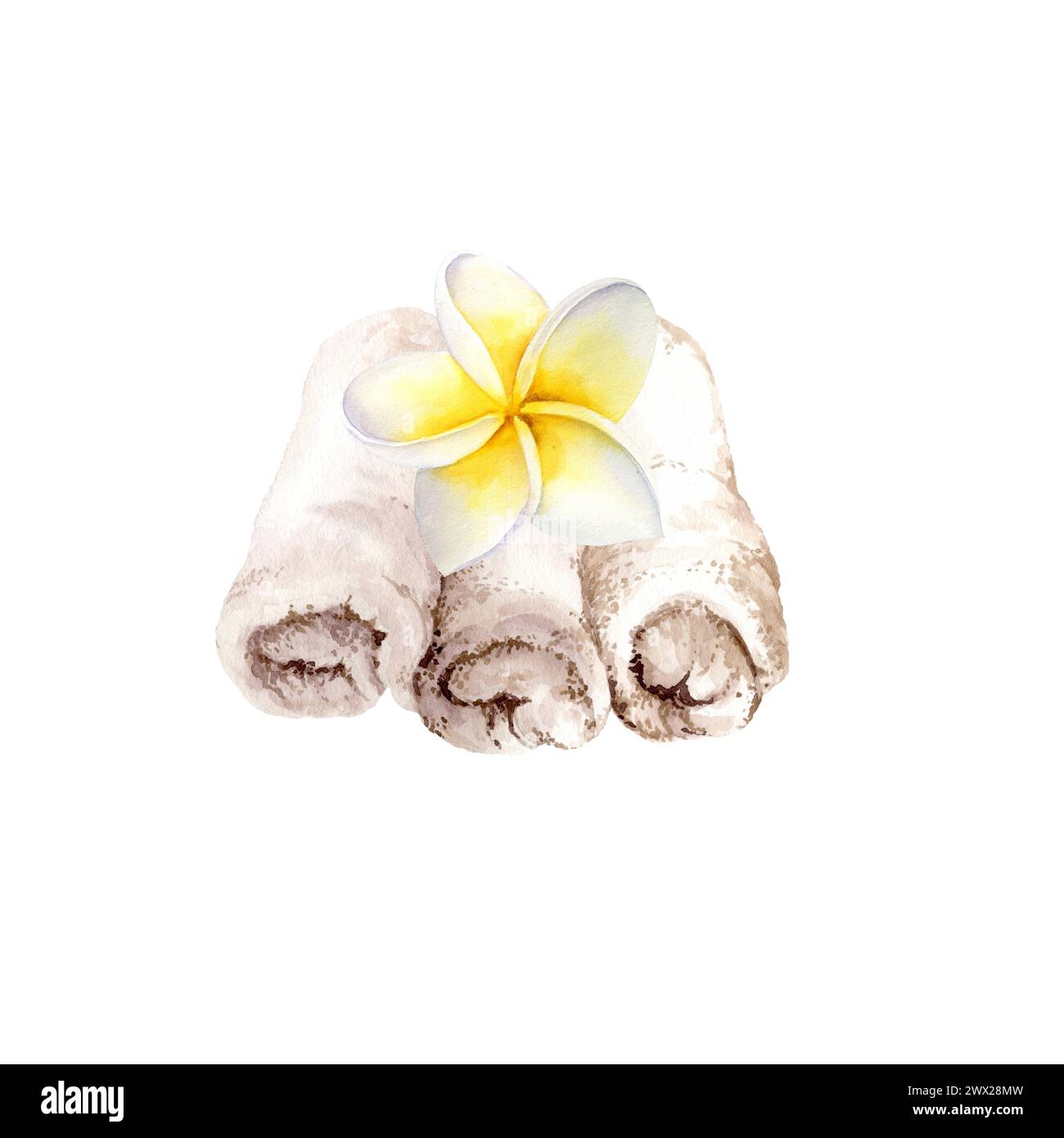 Drei gefaltete weiße Frottee-Baumwollhandtücher für Spa-Behandlungen mit Frangipani-Blume, weichen Waschlappen für Spa-Salon und weißen tropischen exotischen Pl Stockfoto