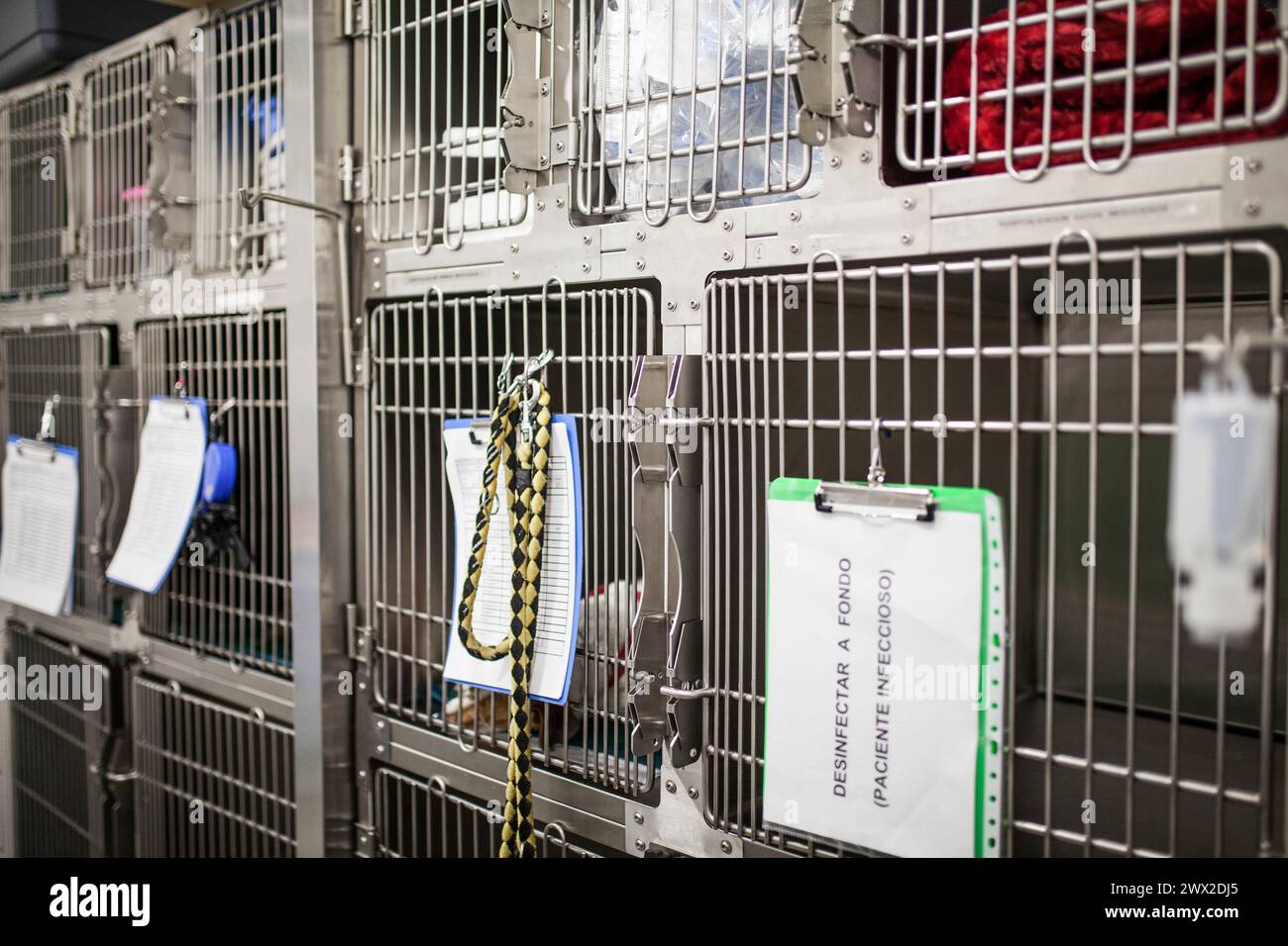 Käfige im Bereich der Reanimation und Ruhe in der Chirurgie der Tierklinik, keine Personen Stockfoto