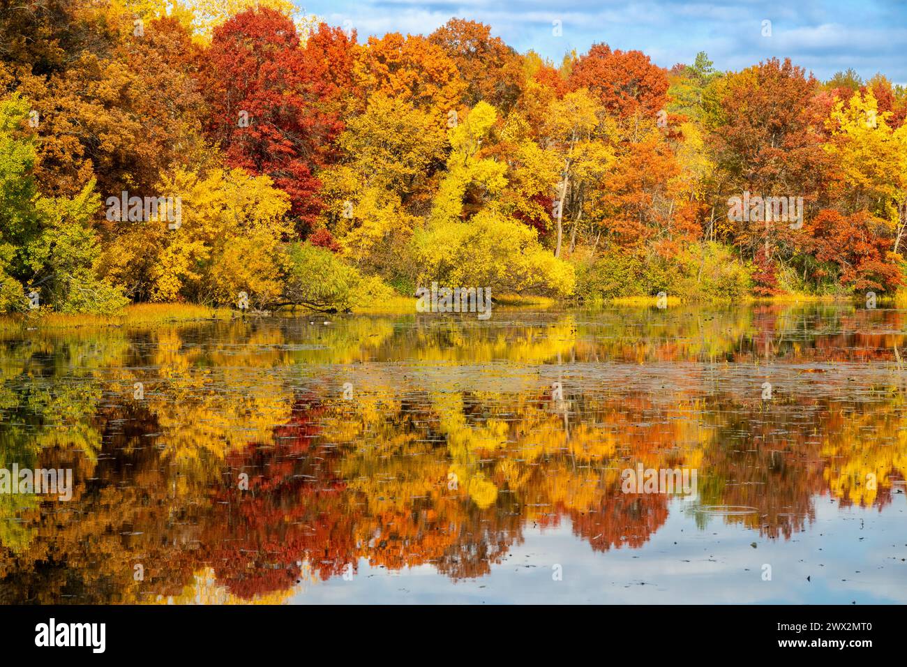 Herbst, Jensen Lake. Libanon Hills Park, Minnesota., USA, von Dominique Braud/Dembinsky Photo Assoc Stockfoto