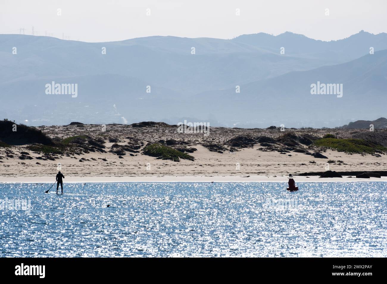 Stand-up-Paddle-Boarder in Morro Rock und Morro Bay, Pazifik, Morro Bay, Kalifornien, USA. Stockfoto