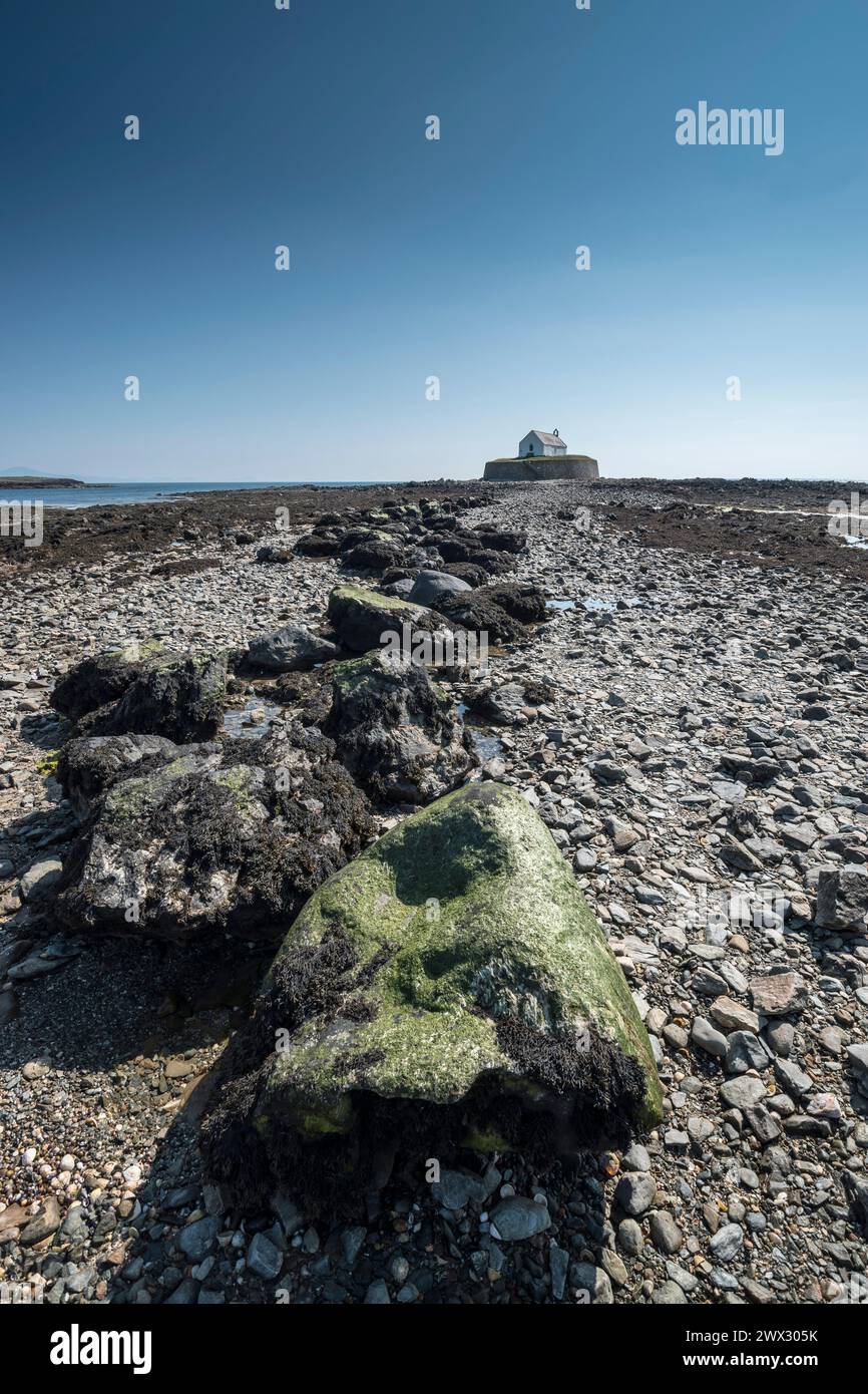 St Cwyfan's Church Llangwyfan Aberffraw auf Ynys Mon Anglesey Gwynedd North Wales Stockfoto