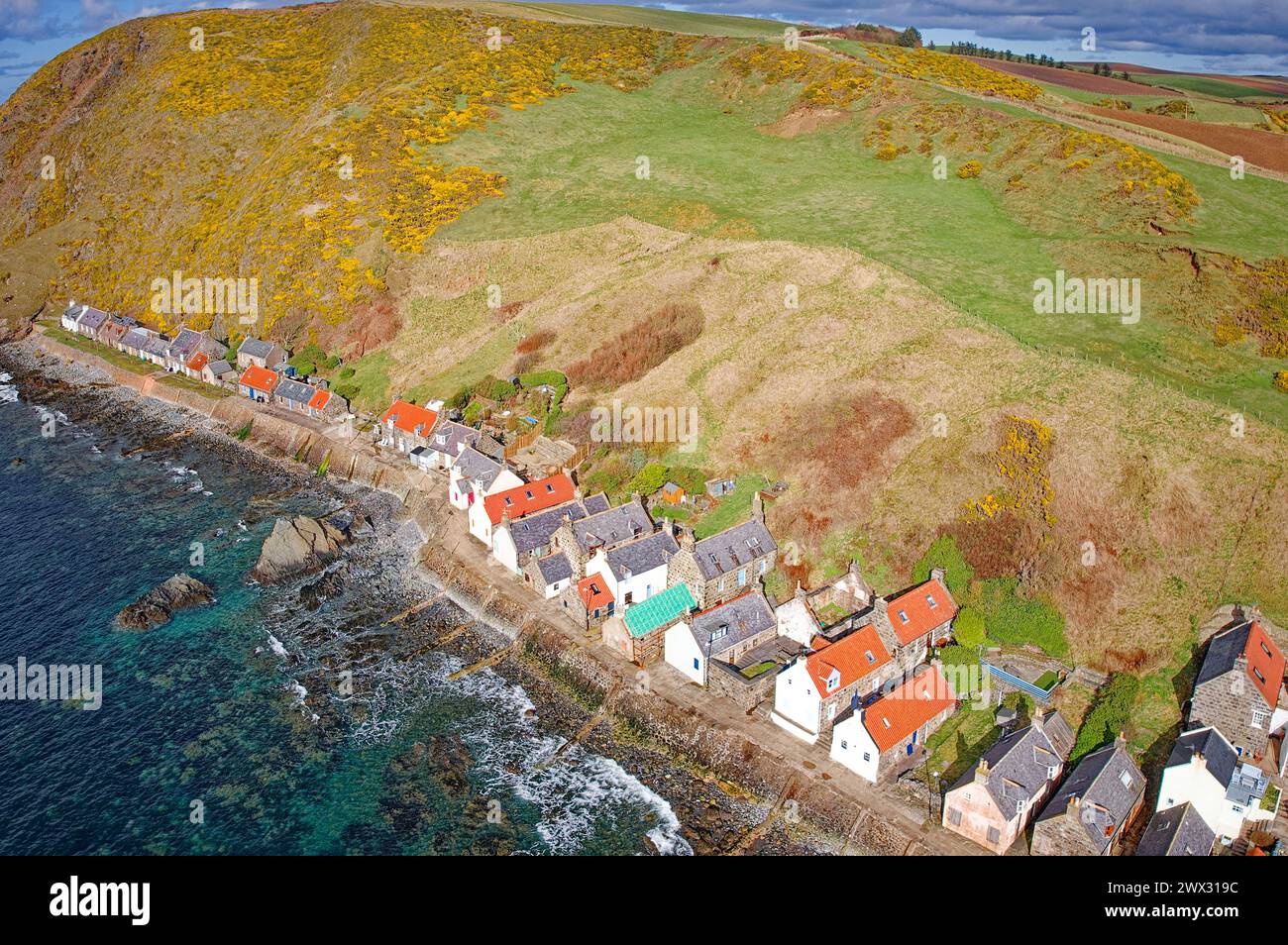 Crovie Village Aberdeenshire Schottland die roten Dächer gelben Ginster auf den Klippen und ein blaugrünes Meer Stockfoto