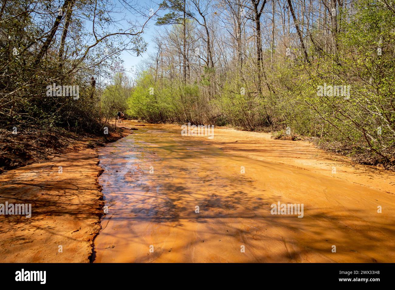 Providence Canyon State Park Stockfoto