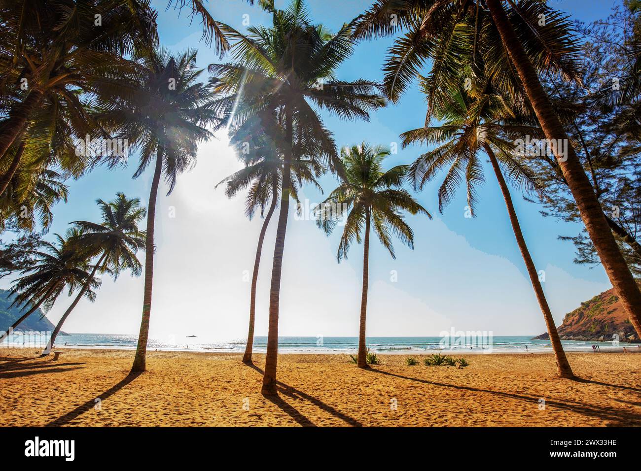 Idyllischer Blick auf Südindien an einem sonnigen Strand in Karnataka (oder Kerala, Andhra Pradesh, Goa, Tamil Nadu,) Entspannung im Frühling - Temperat Stockfoto