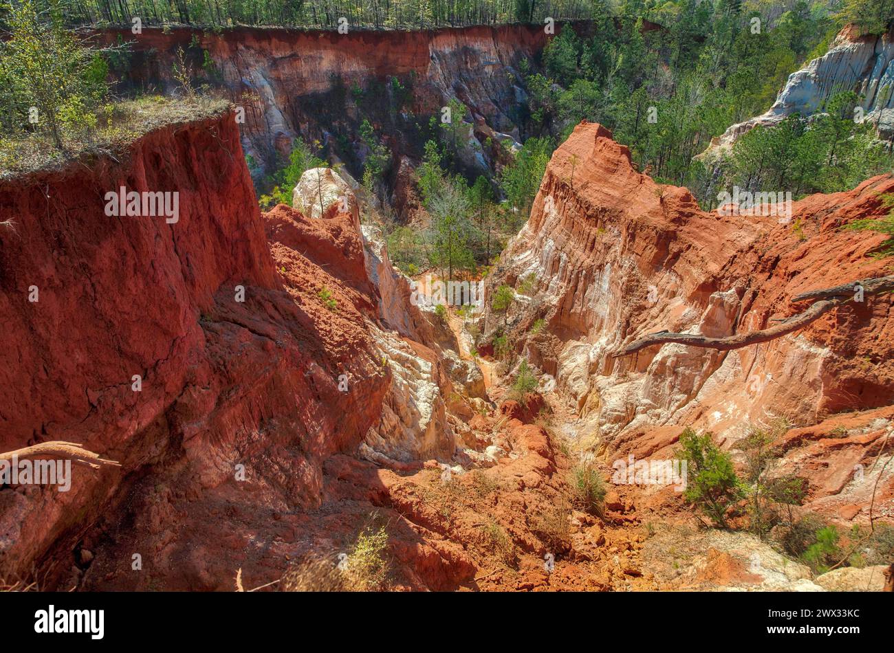 Providence Canyon State Park Stockfoto