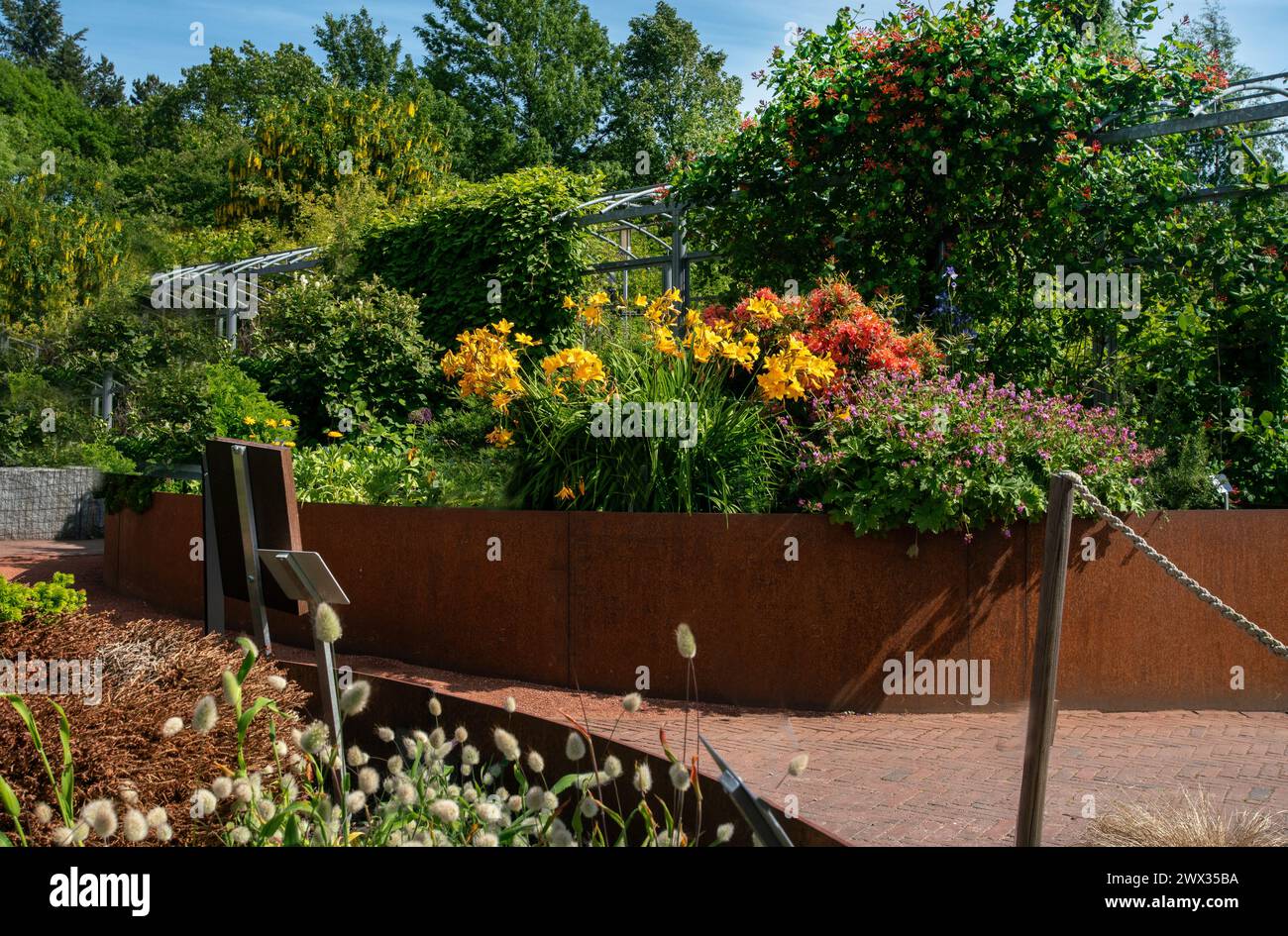 „Sonne“ aus einem orangen Taglilien-Garten im Kaisaniemi Botanical Garden in Helsinki in Cortenstahlkonstruktion (für Blumenbeet). Orangenrhododenron b Stockfoto