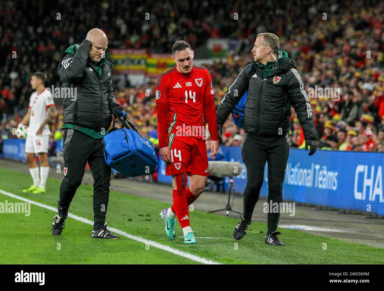 Cardiff City Stadium, Cardiff, Großbritannien. März 2024. UEFA Euro Qualifying Play Off Football, Wales gegen Polen; Connor Roberts aus Wales verlässt das Spielfeld mit dem Medical Staff Credit: Action Plus Sports/Alamy Live News Stockfoto