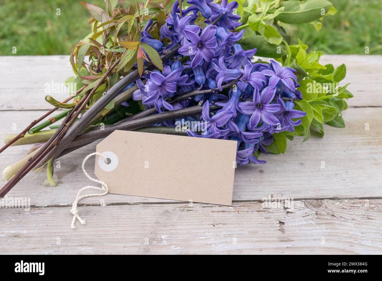 Grußkarte mit Blumenstrauß blauer Hyazinthen und Kopierraum Stockfoto