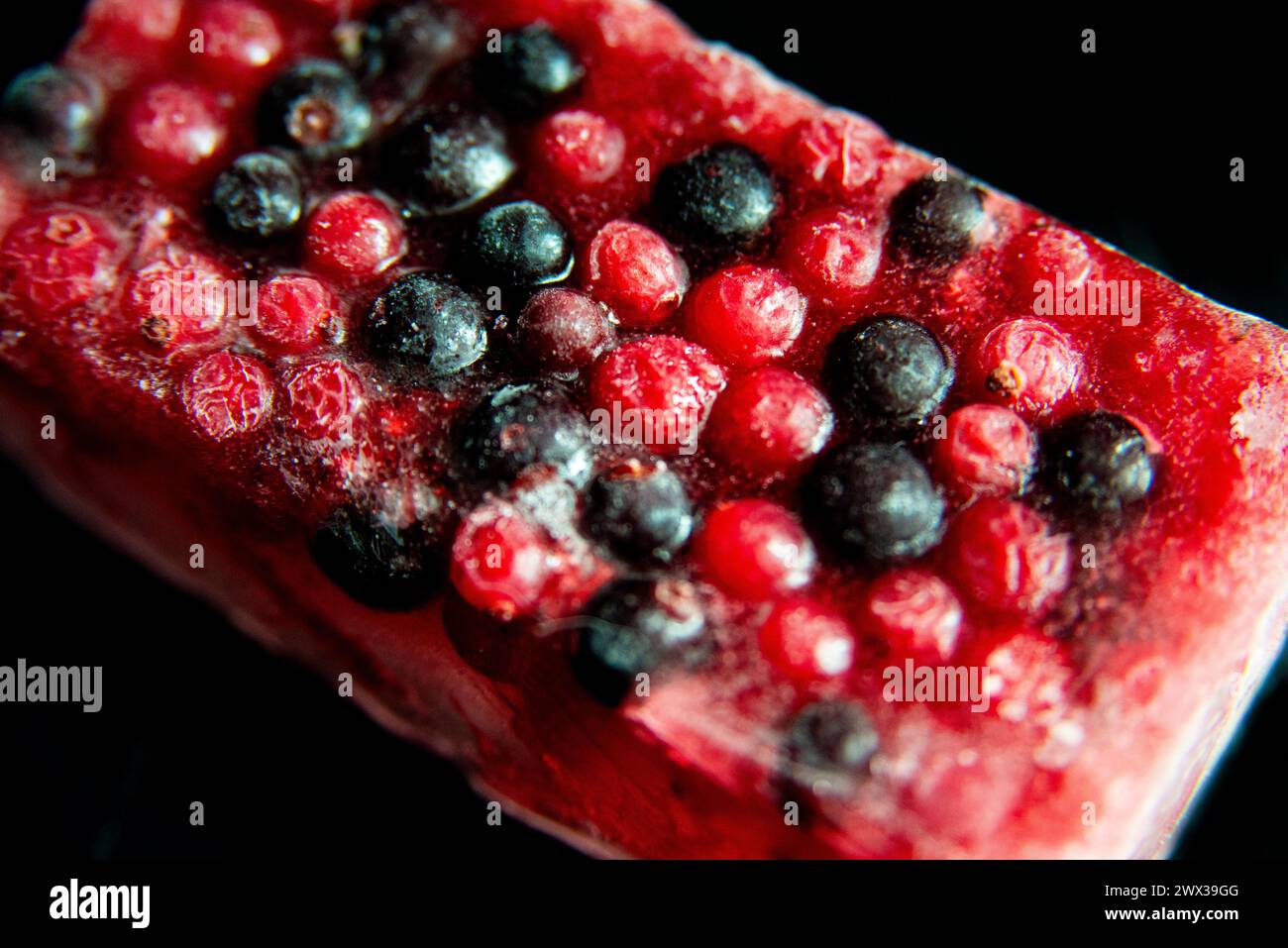 Gemischte rote und schwarze Beeren, gefroren in einem Eisblock vor schwarzem Hintergrund. Stockfoto