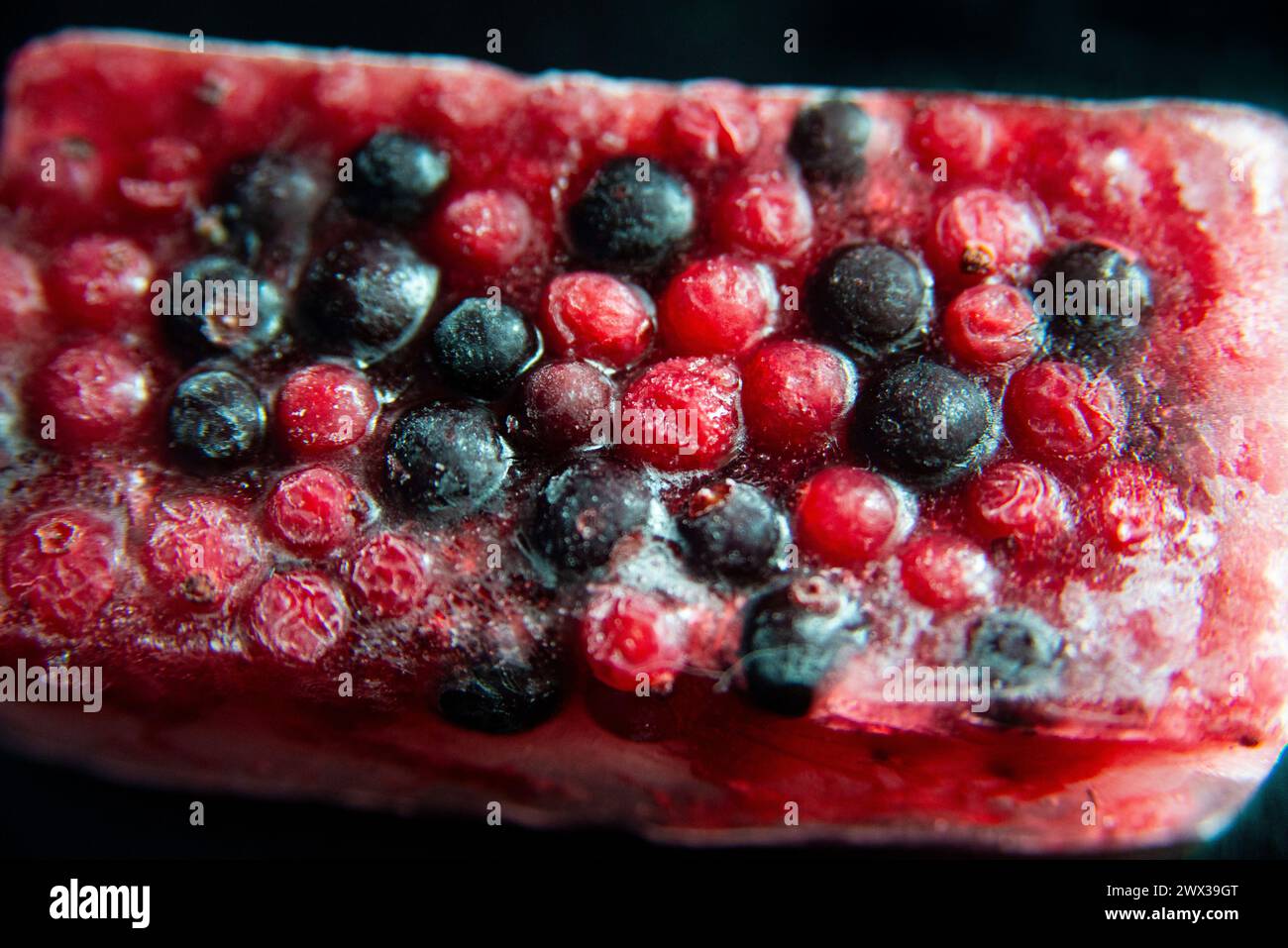 Gemischte rote und schwarze Beeren, gefroren in einem Eisblock vor schwarzem Hintergrund. Stockfoto