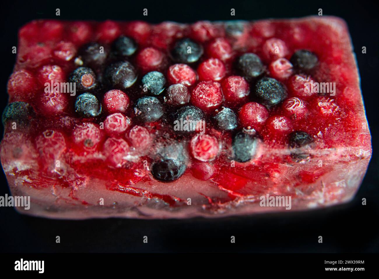 Gemischte rote und schwarze Beeren, gefroren in einem Eisblock vor schwarzem Hintergrund. Stockfoto