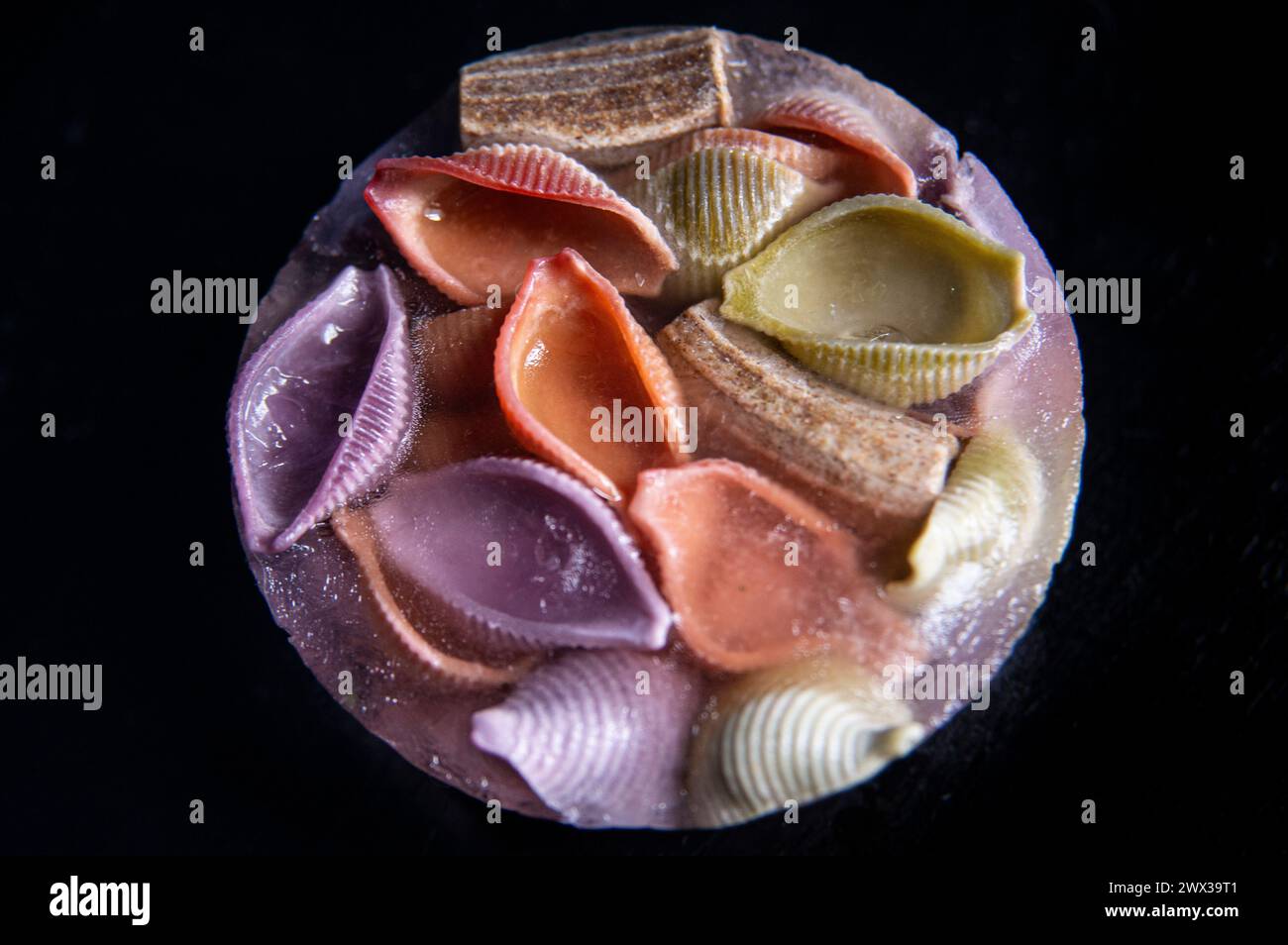 Nahaufnahme farbenfroher Rigatoni- und Muschelnudelformen, die in Eis auf schwarzem Hintergrund gefroren sind. Stockfoto
