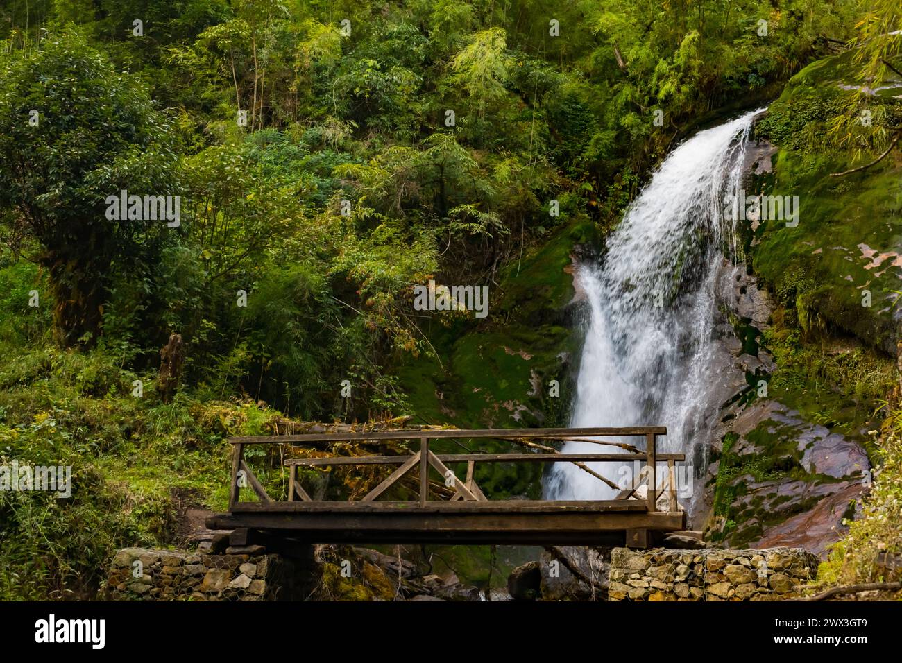 Ein Wasserfall mit Holzbrücke in Thangyam Village Taplejung, Kanchenjunga Trek, Nepal Stockfoto