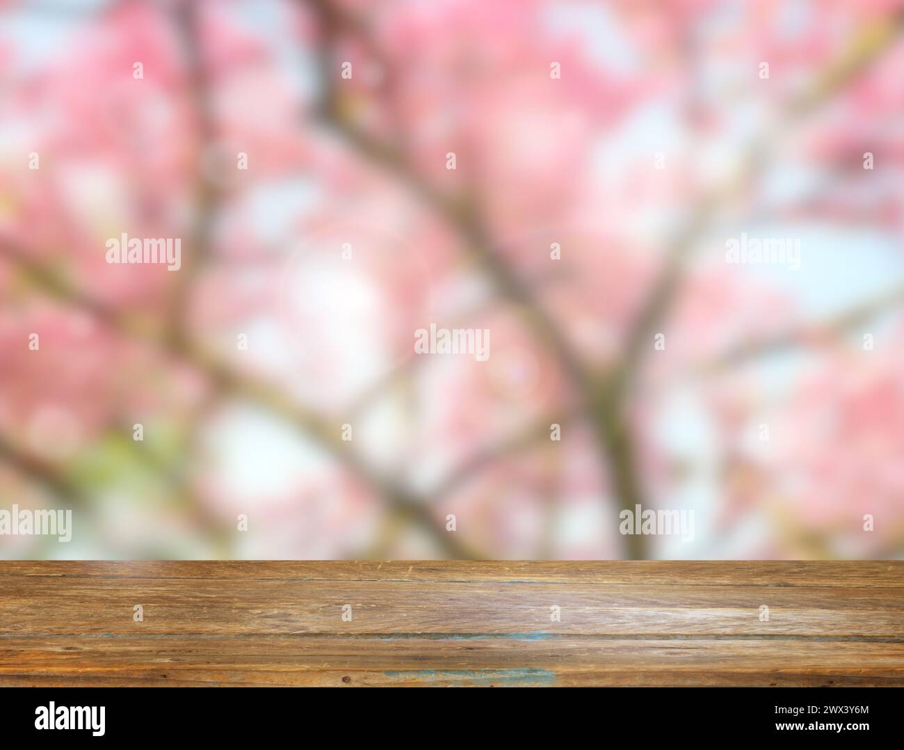 Frühling schöner Hintergrund blühende Zweige mit einem leeren Holztisch auf der Natur draußen im Sonnenlicht im Garten Stockfoto