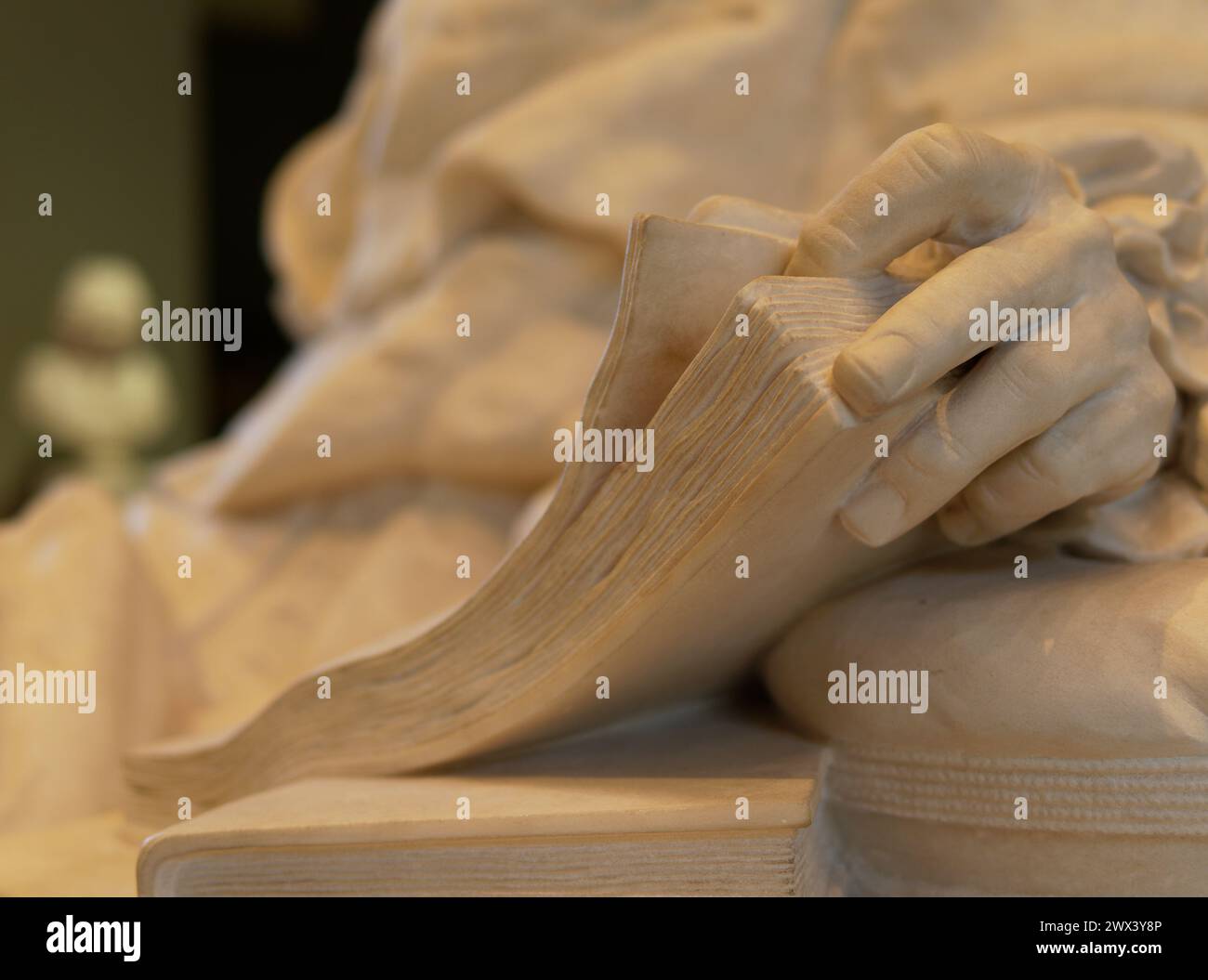 OLYMPUS DIGITALKAMERA Stockfoto