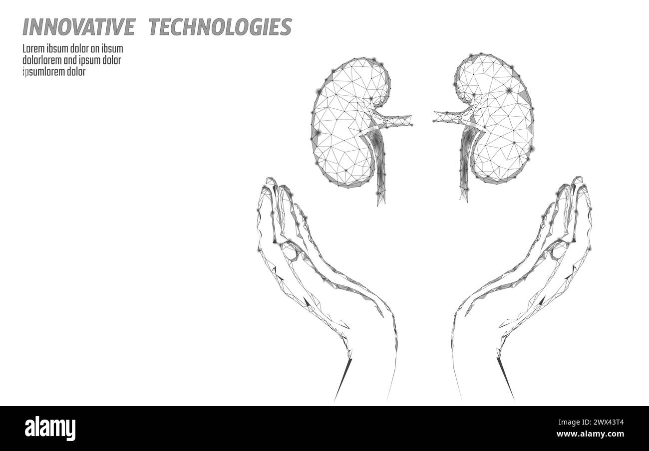 Grußkarte zum Welttentag, niedrige Poly-Designschablone. Werbeplakat für Gesundheitsbewusstsein. Menschliche Nierentransplantationsspender. Nieren in den Händen Stock Vektor