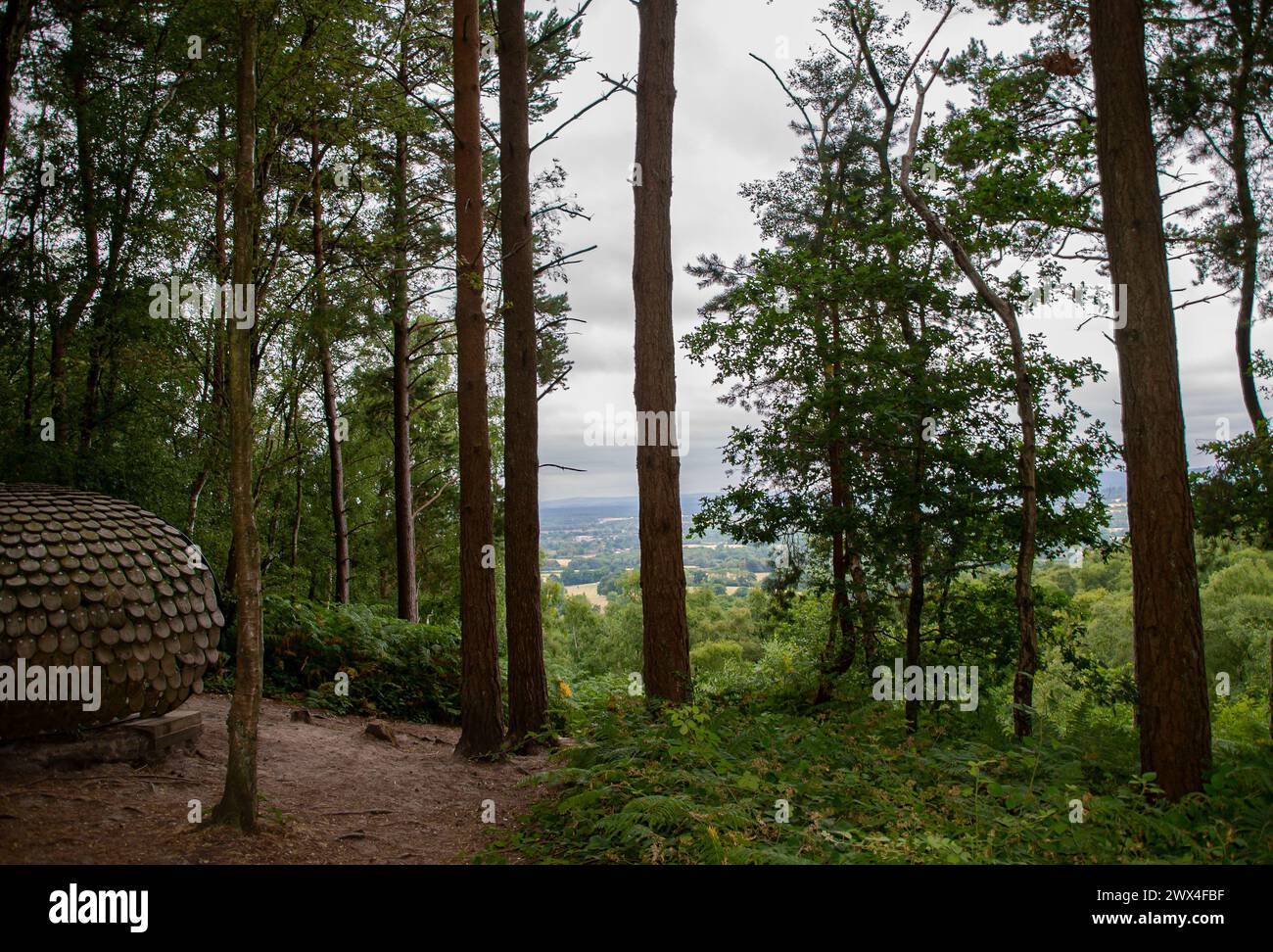 Eine geheimnisvolle hölzerne Kuppel zwischen den hohen Bäumen des Hurtwood Forest, die Kunst mit der ruhigen Schönheit der Natur verbindet Stockfoto