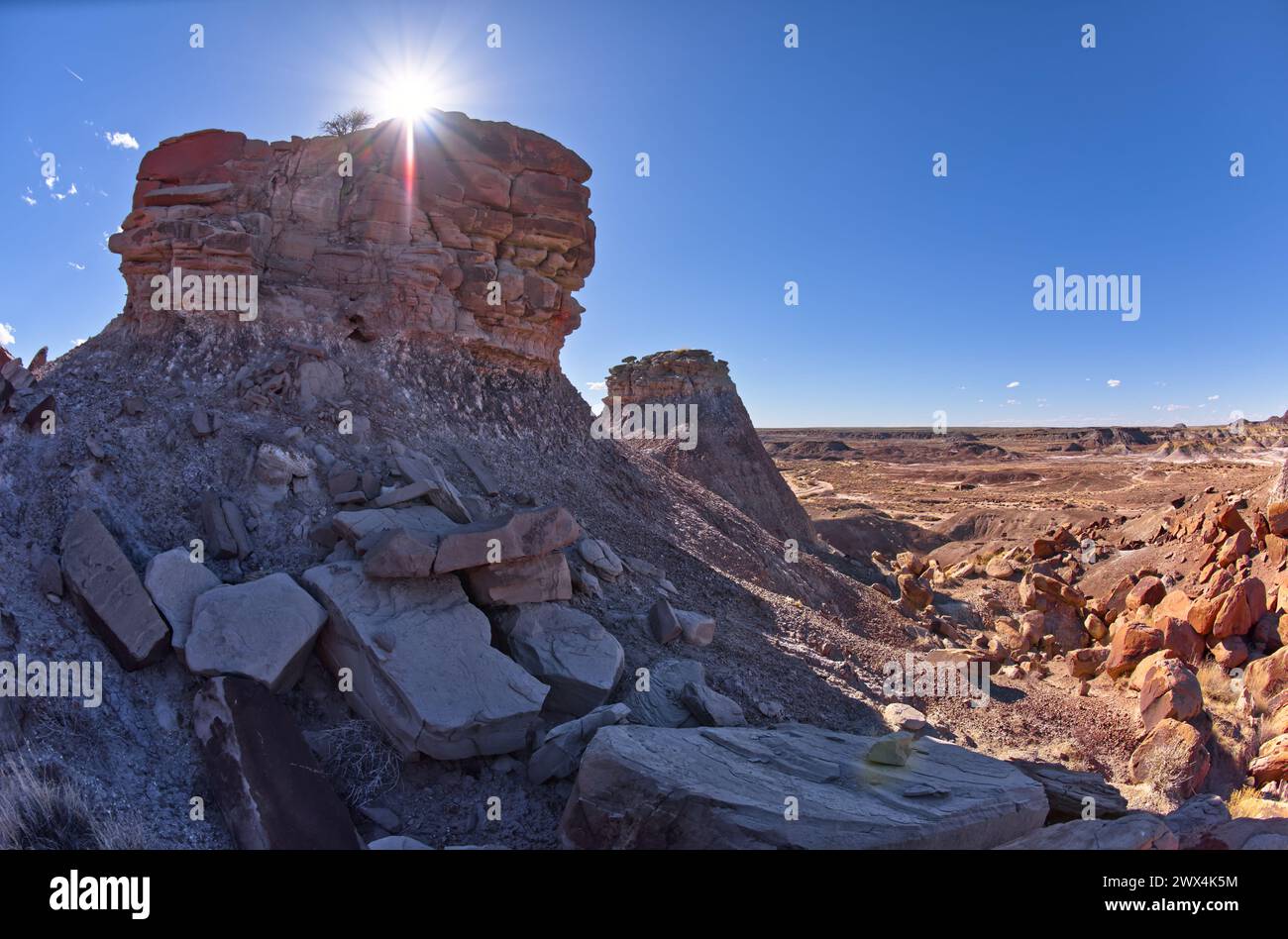 Eine Felseninsel direkt vor einer mesa in der Nähe von Hamilili Point am südlichen Ende des Petrified Forest National Park Arizona. Stockfoto