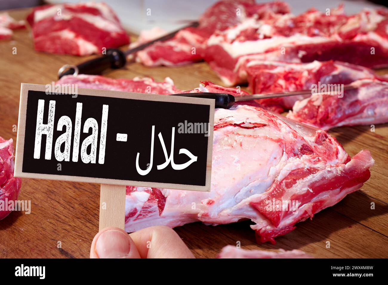 27. März 2024: Halal erlaubtes Fleisch - . Rohes Fleisch auf einer Arbeitsplatte mit einem Messer in einem Schlachthof. Ein Schild mit der Inschrift: Halal und in arabischer Schrift. Konzeptfleisch von religiös geschlachteten Tieren. Fotomontage *** Halal erlaubt Fleisch - . Rohes Fleisch auf einer Arbeitsplatte mit Messer in einem Schlachthaus. Ein Schild mit der Aufschrift: Halal und in arabischer Schrift. Konzept Fleisch von religiös geschlachteten Tieren. Fotomontage Stockfoto