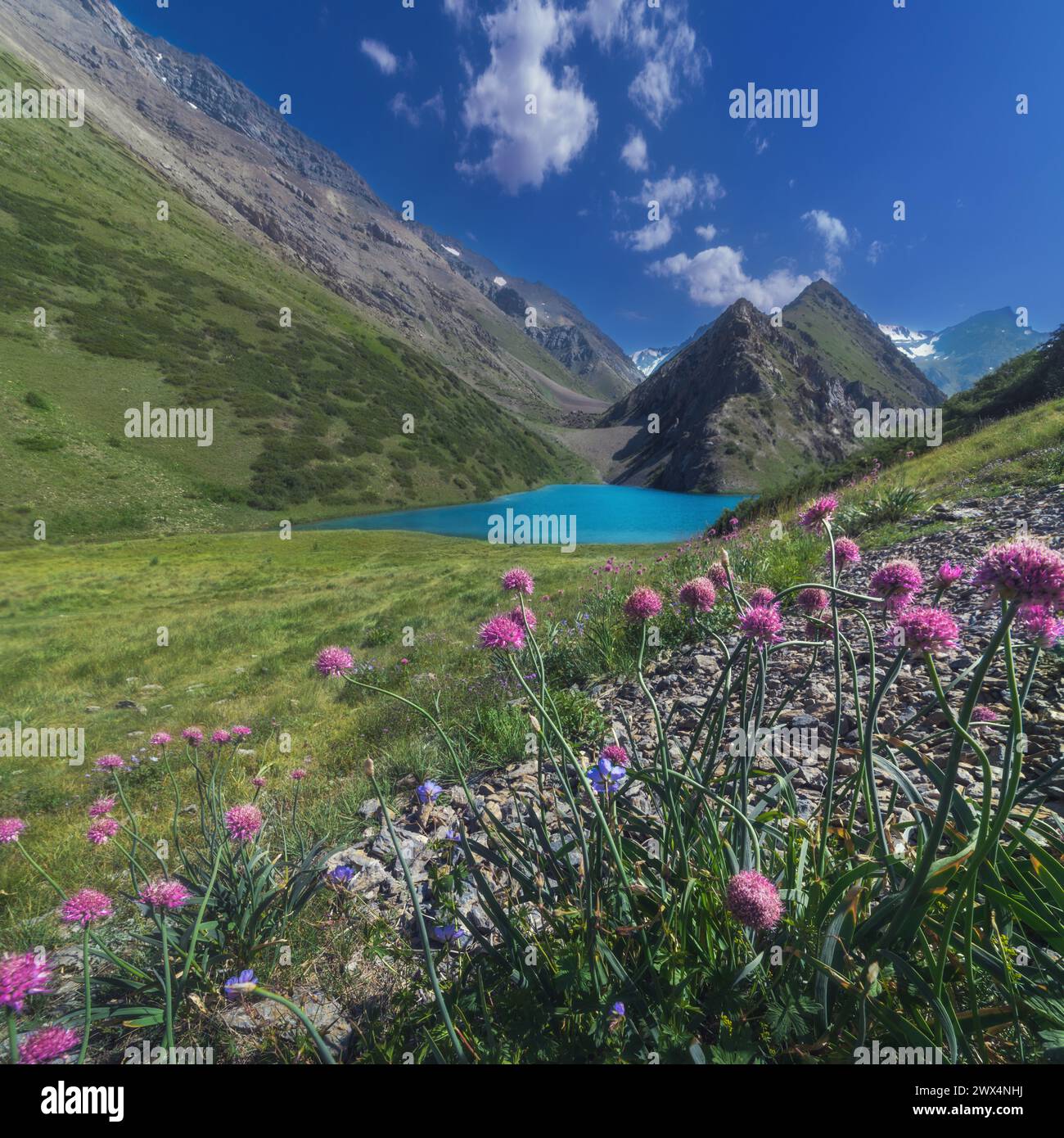 Panoramalandschaft mit blauem See in den Bergen im Sommer. Koksai Ainakol See im Tien Shan Gebirge in Asien in Kasachstan Stockfoto