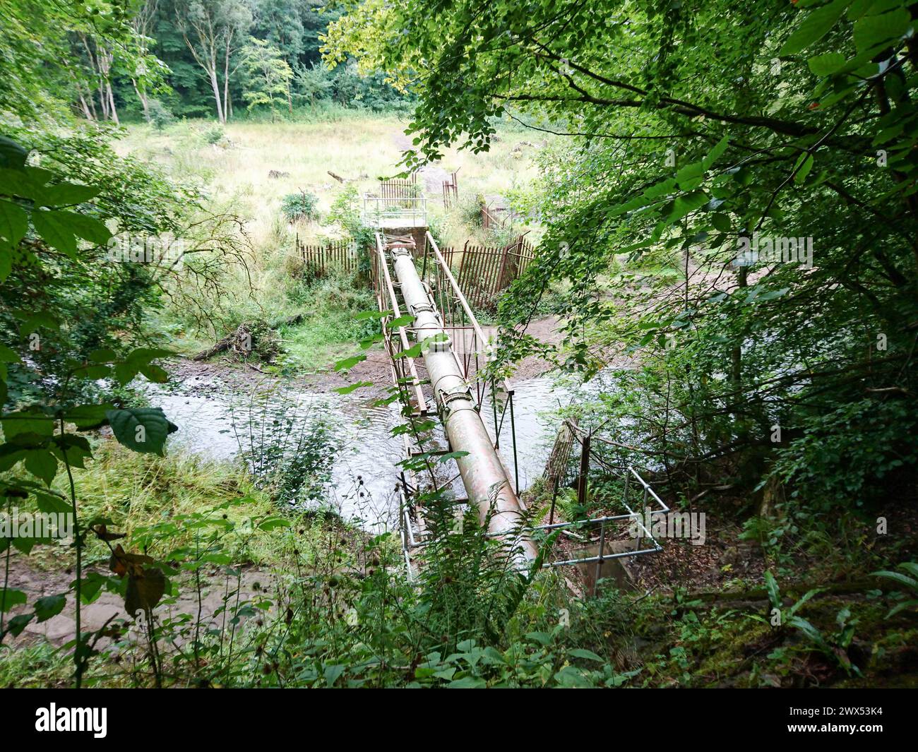 Die Green Pipe, eine Fußgängerbrücke in Wishaw Glen über den Fluss Calder. Scoltand Stockfoto