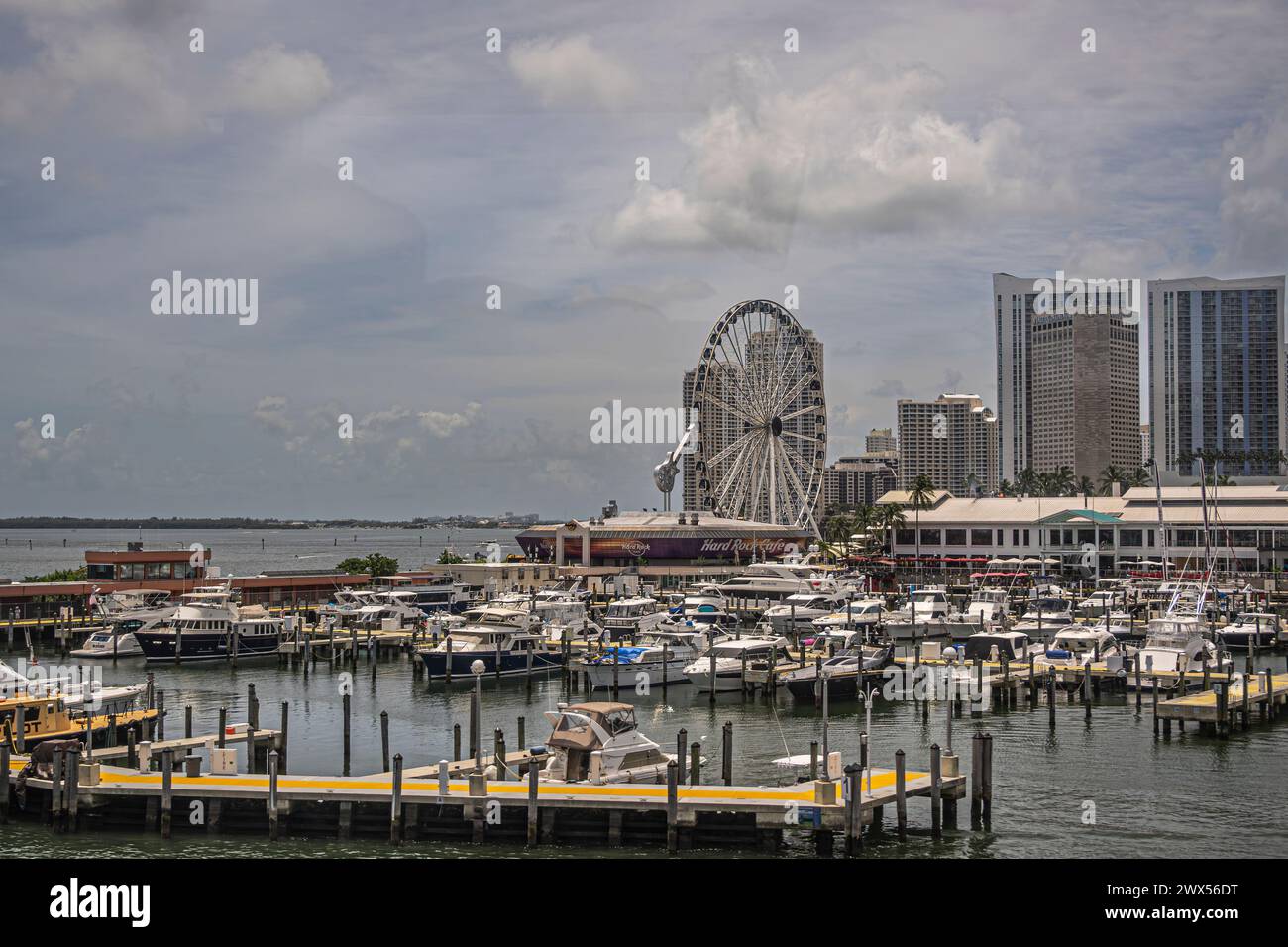 Miami, Florida, USA - 29. Juli 2023: InterContinental und andere hohe Gebäude hinter dem Yachthafen. Ferris Wheel, Hard Rock Cafe und andere Restaurants Stockfoto